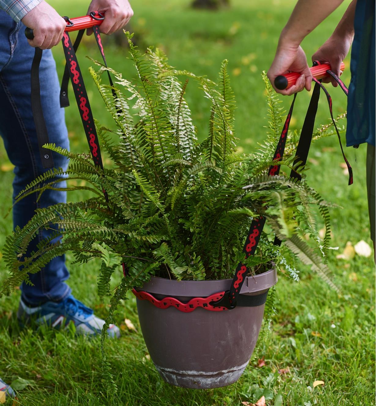 Two people using a pot lifter to lift a large potted plant
