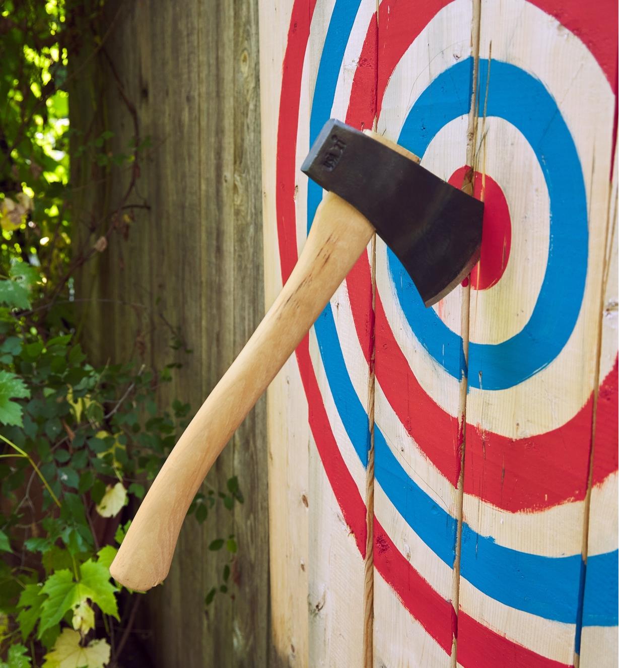 A hatchet embedded in the center of a target