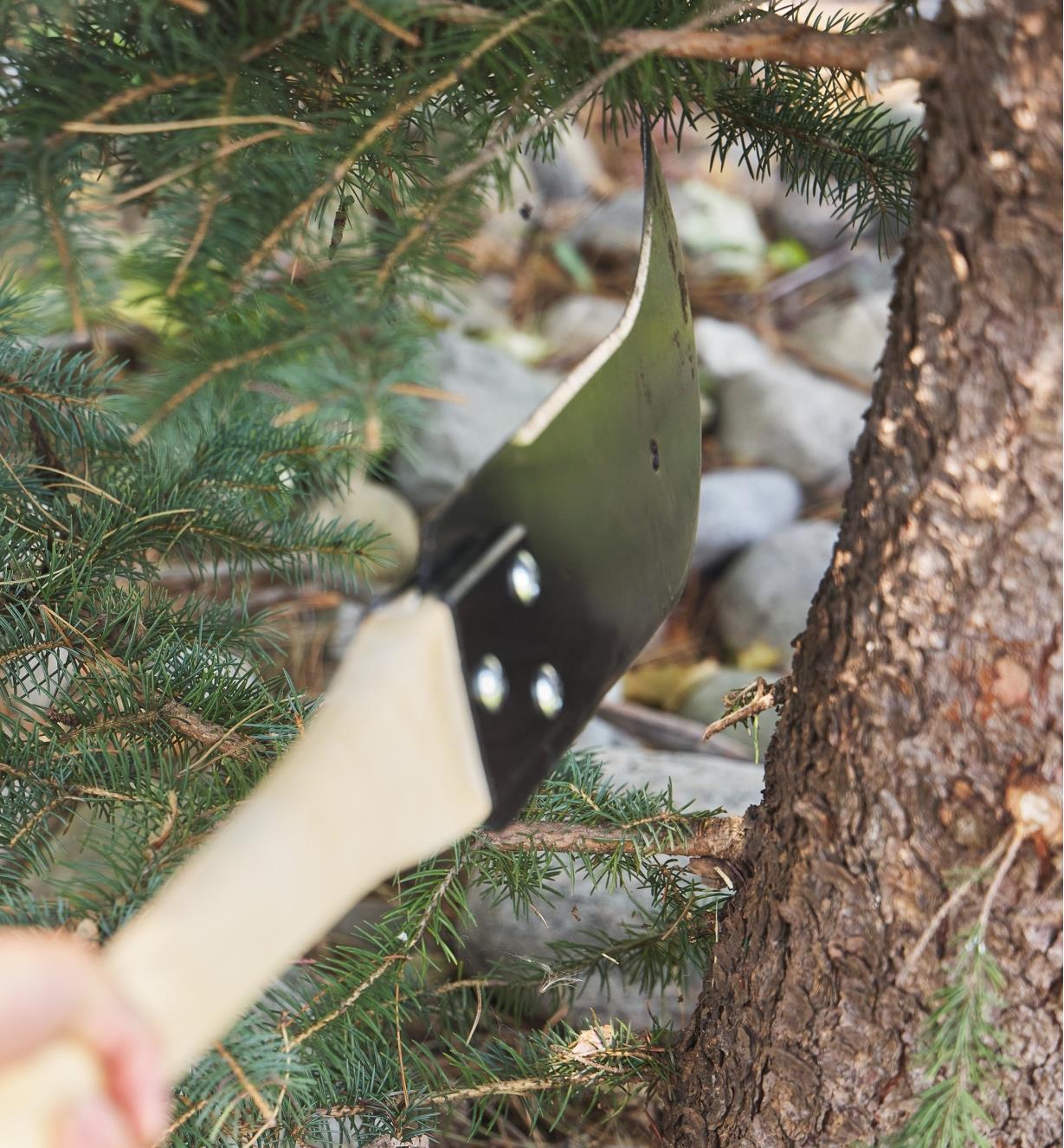 A ditch bank tool being used to limb a tree