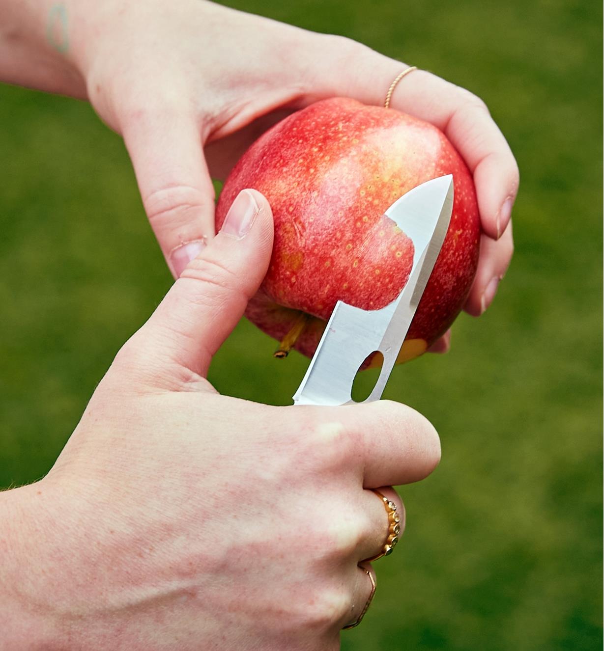 Using the 3-in-1 knife with the 3"" drop-point blade to cut an apple