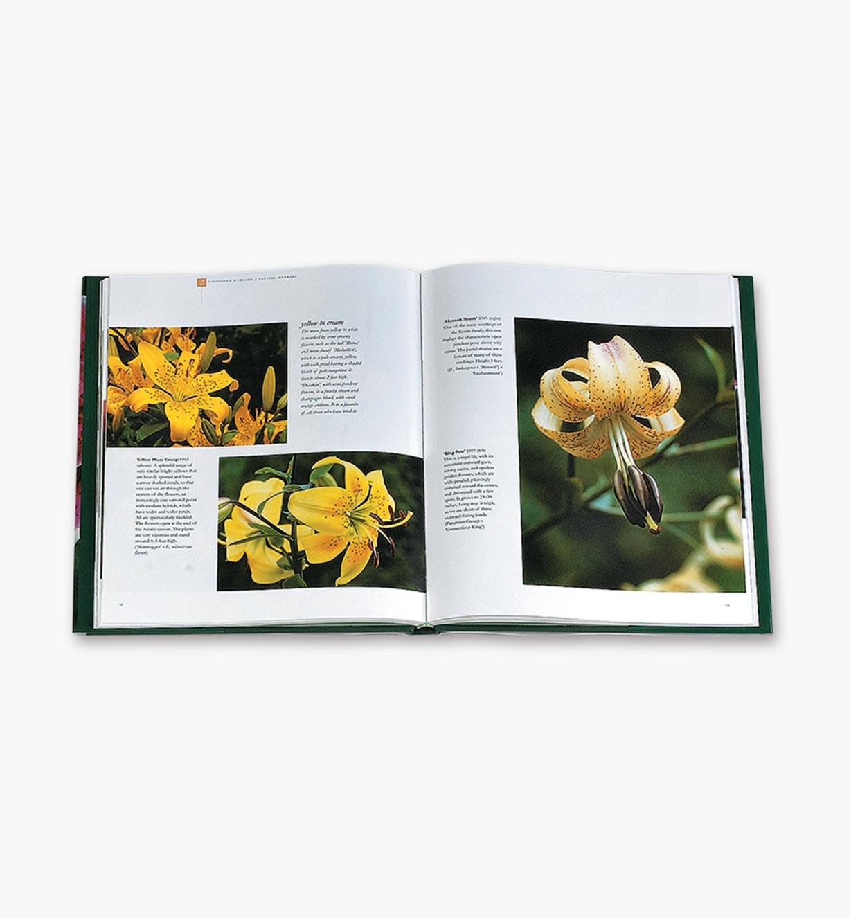 99W7277 - Lilies – A Guide to Choosing and Growing Lilies