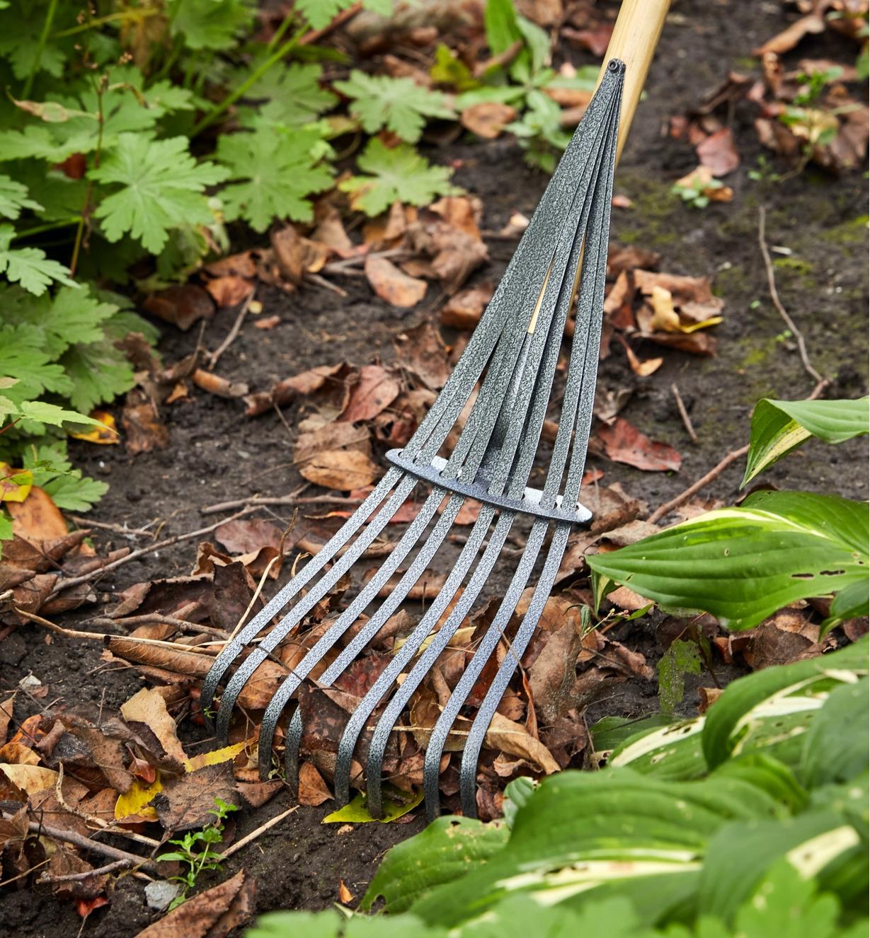Using the 8-tine flexible rake to rake leaves in a garden