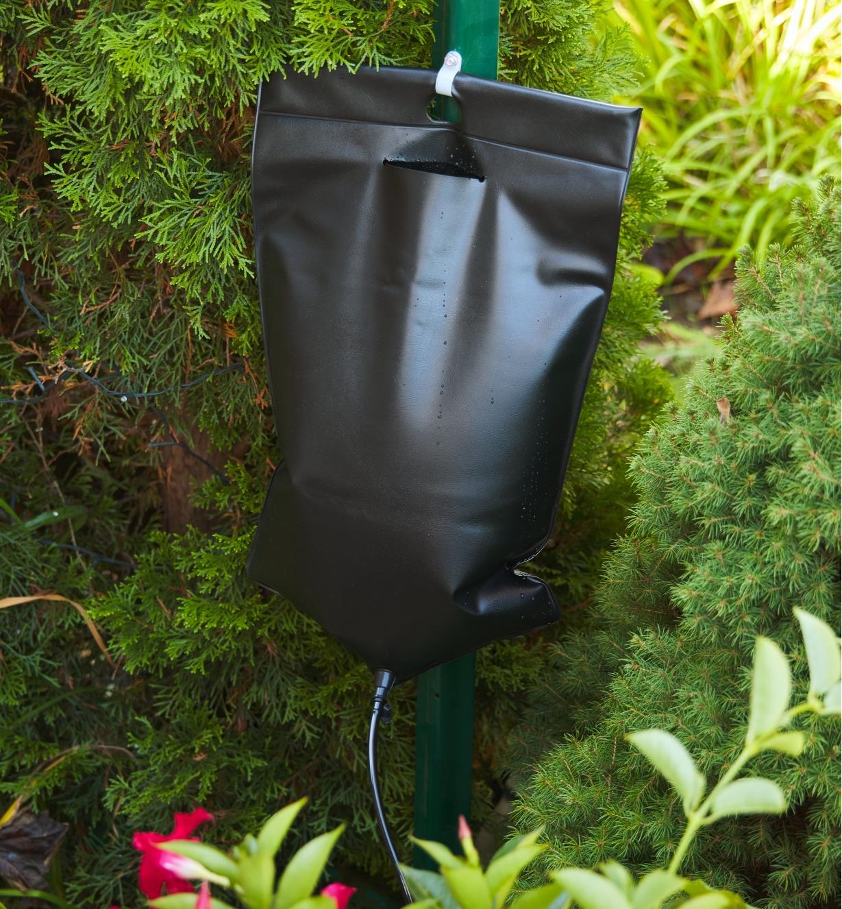 The water bag from the drip irrigation kit hanging on a post