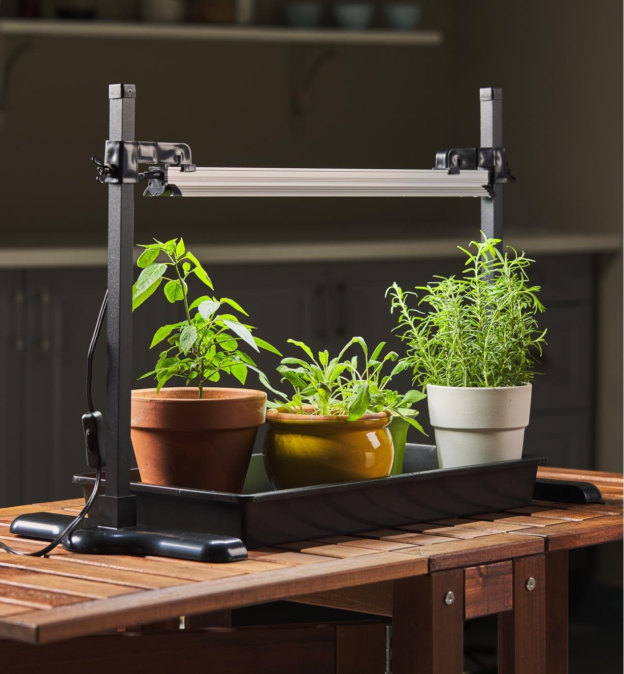 The LED grow light, stand and tray set used to grow a variety of potted herbs indoors
