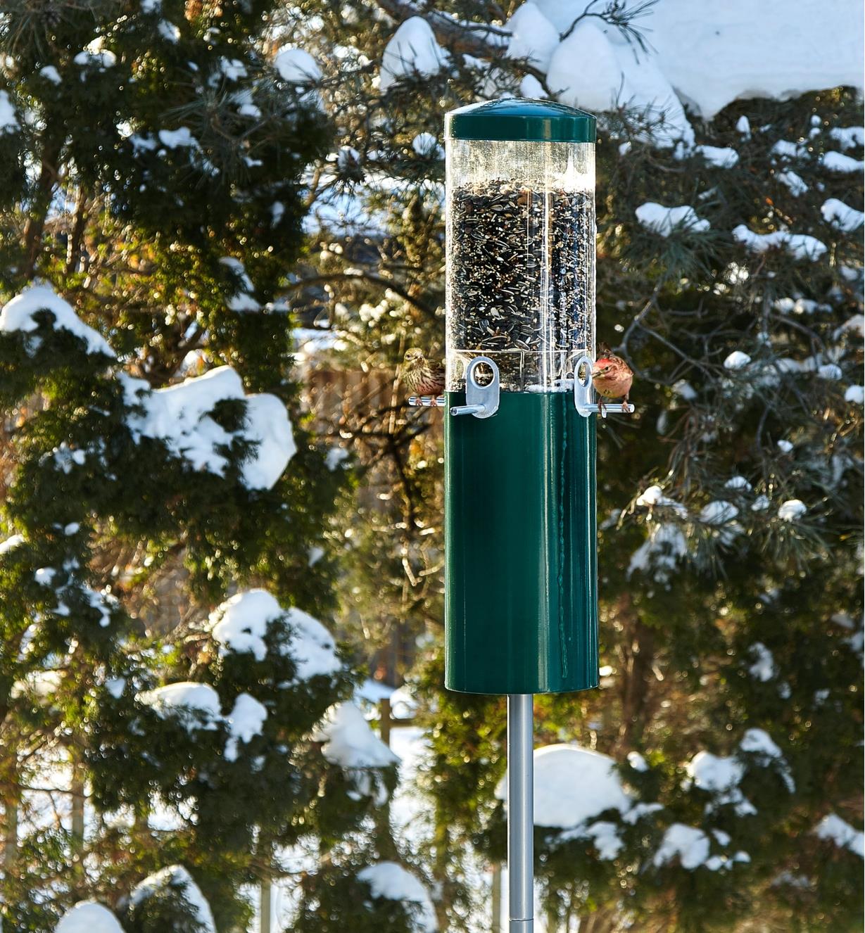 Squirrel-Proof Bird Feeder mounted in a yard in winter