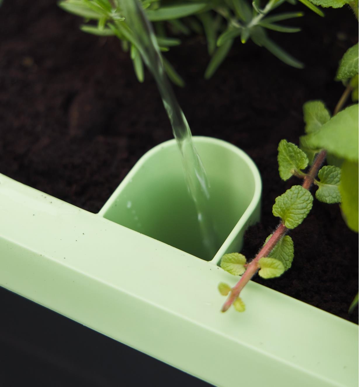 Pouring water through the fill port of the self-watering raised planter
