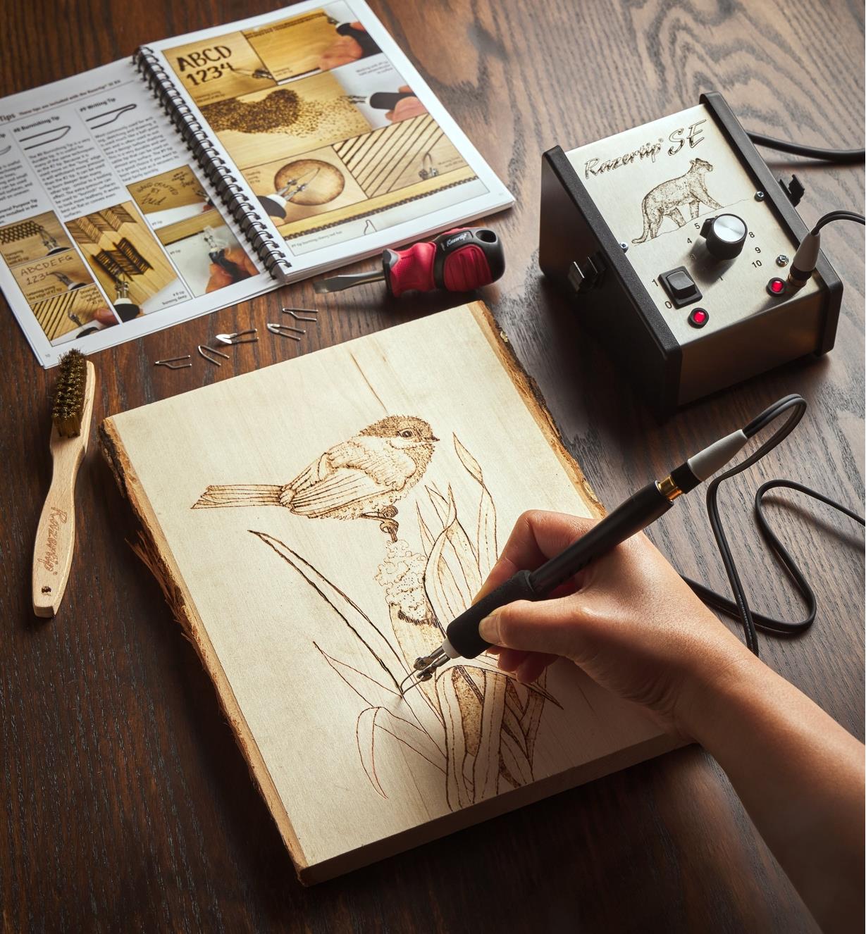 A picture of a bird being burned into a plaque with a Razertip pyrography kit