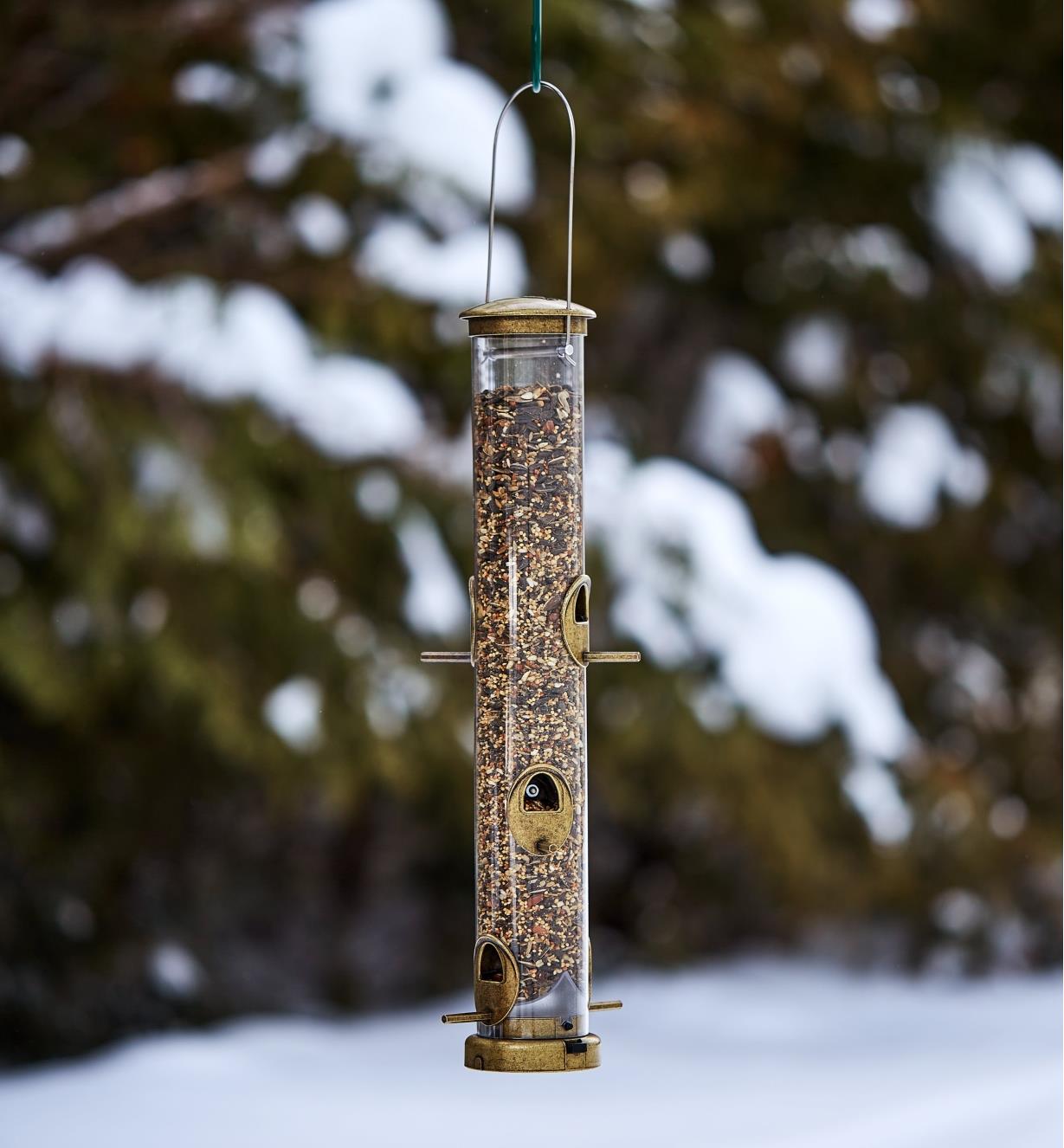 A songbird feeder full of seeds hangs outdoors