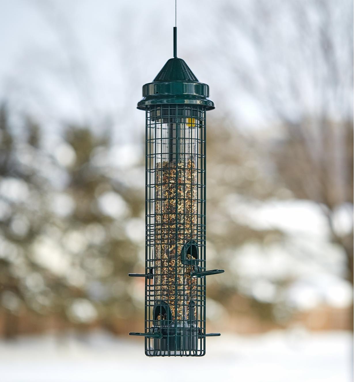 A bird feeder full of seeds hangs outdoors