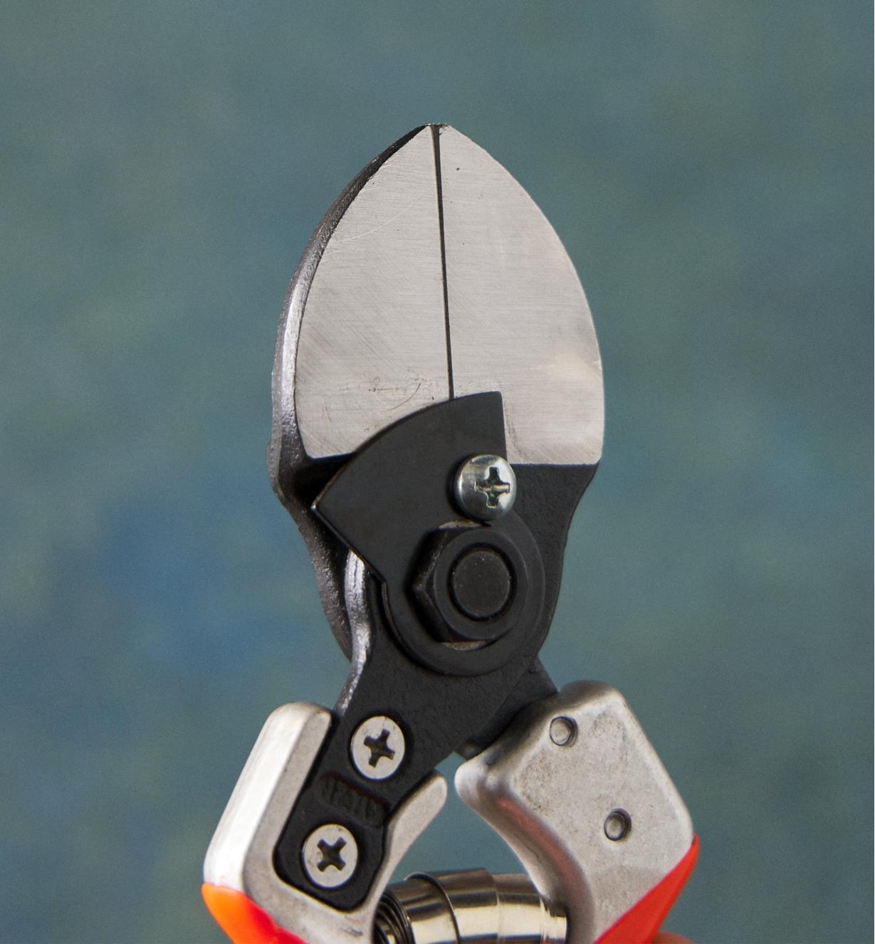 Closed blades and metal plate of the Castellari double-bladed pruner