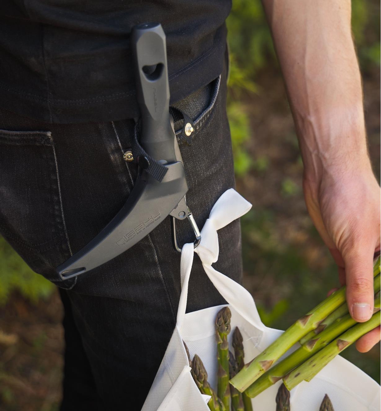 The sickle knife and sheath worn on a belt with a harvest bag suspended from the carabiner clip