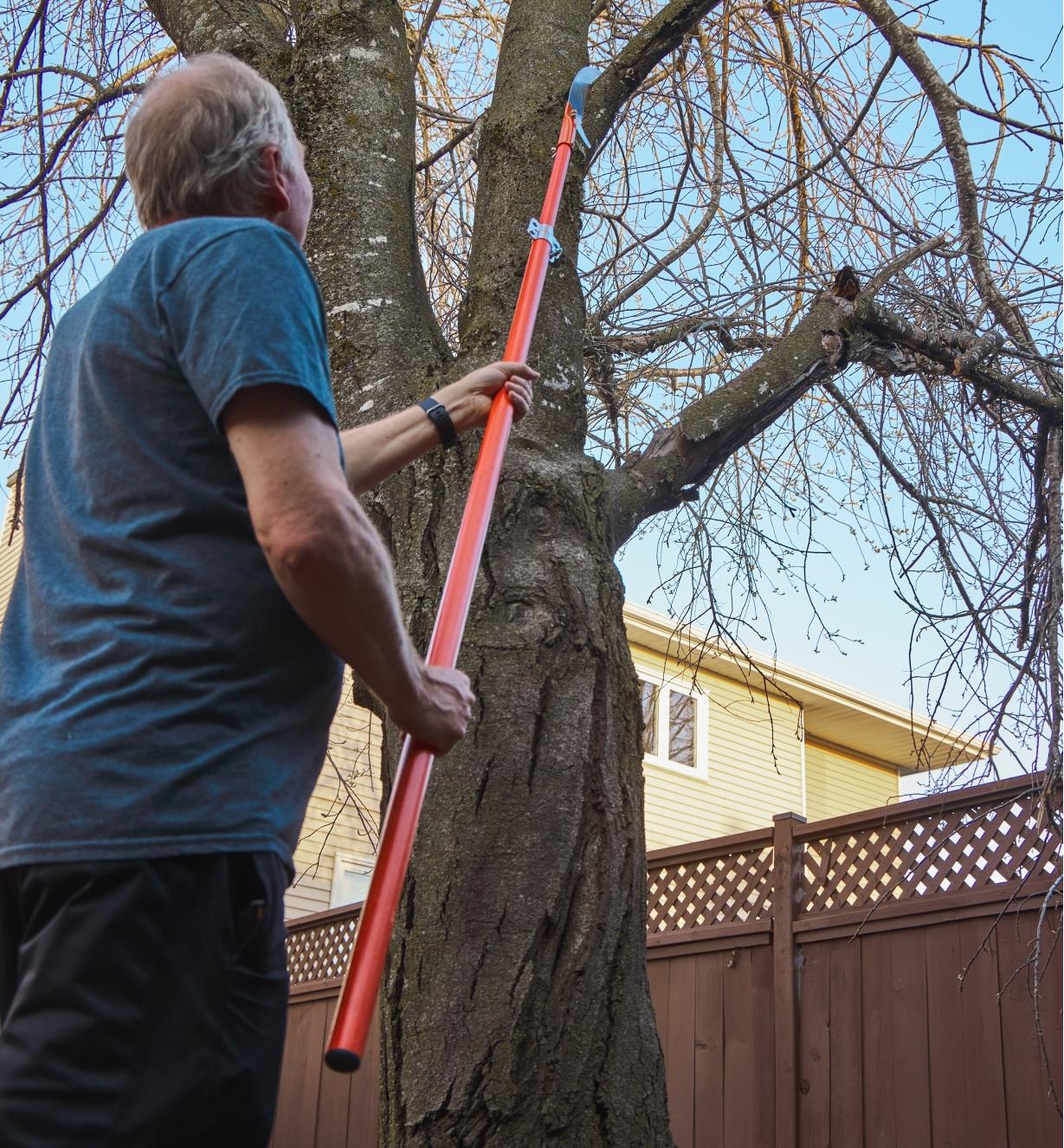 Personne se servant d'un ensemble d'outils d'élagage pour couper une branche en hauteur d'un arbre mature