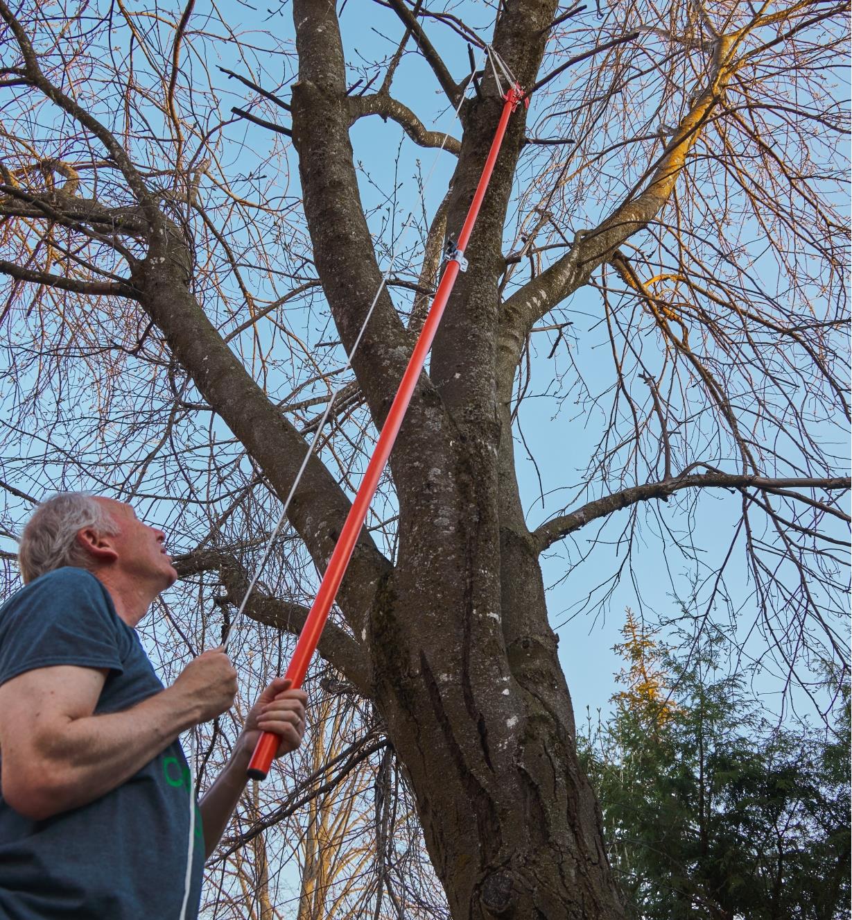 Using the extended pole, pruner head and pulley of the pole pruning set to cut dead tree branches