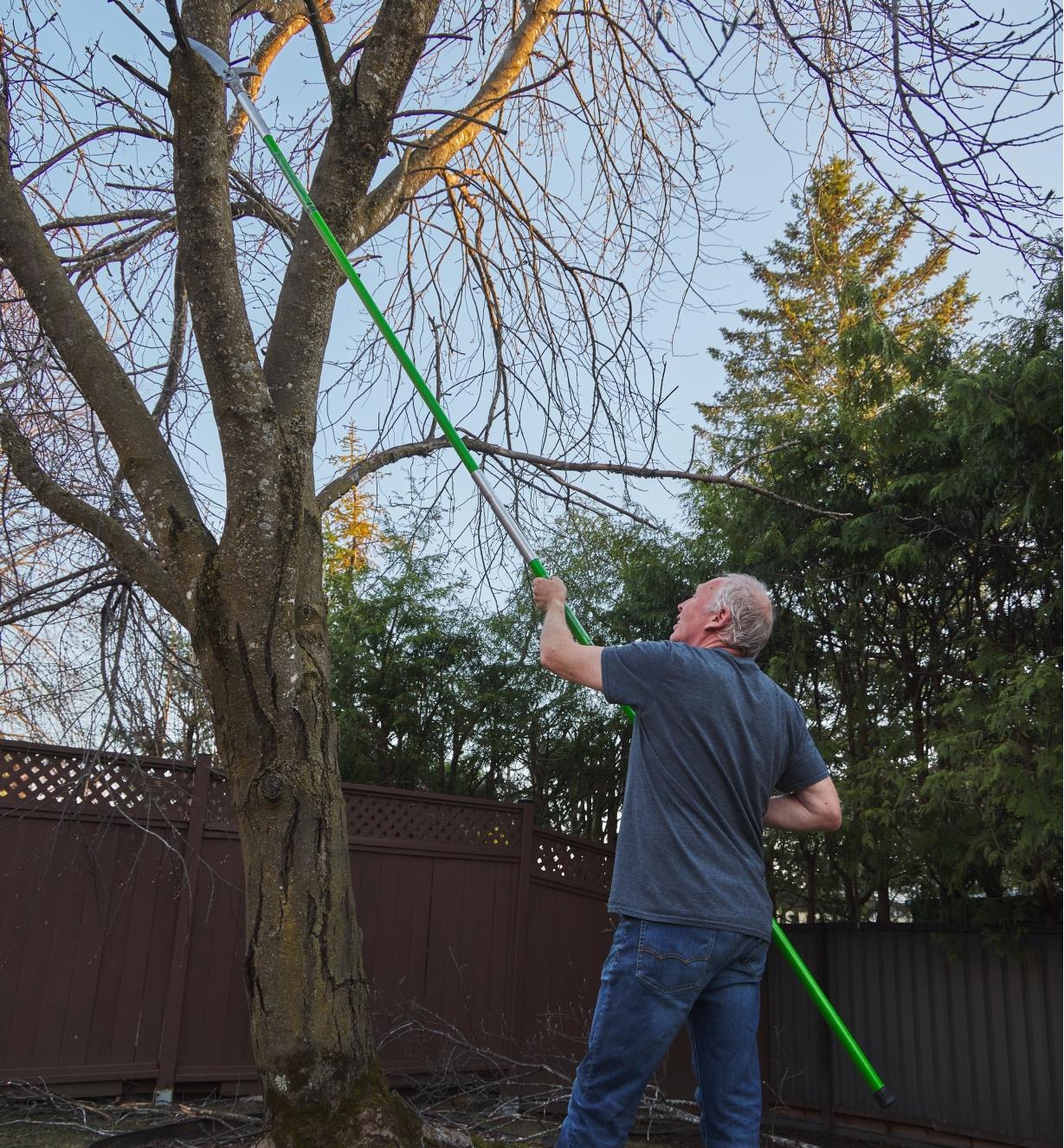Pruning a mature tree with the saw head and long fiberglass pole of the Jameson professional tree pruning kit
