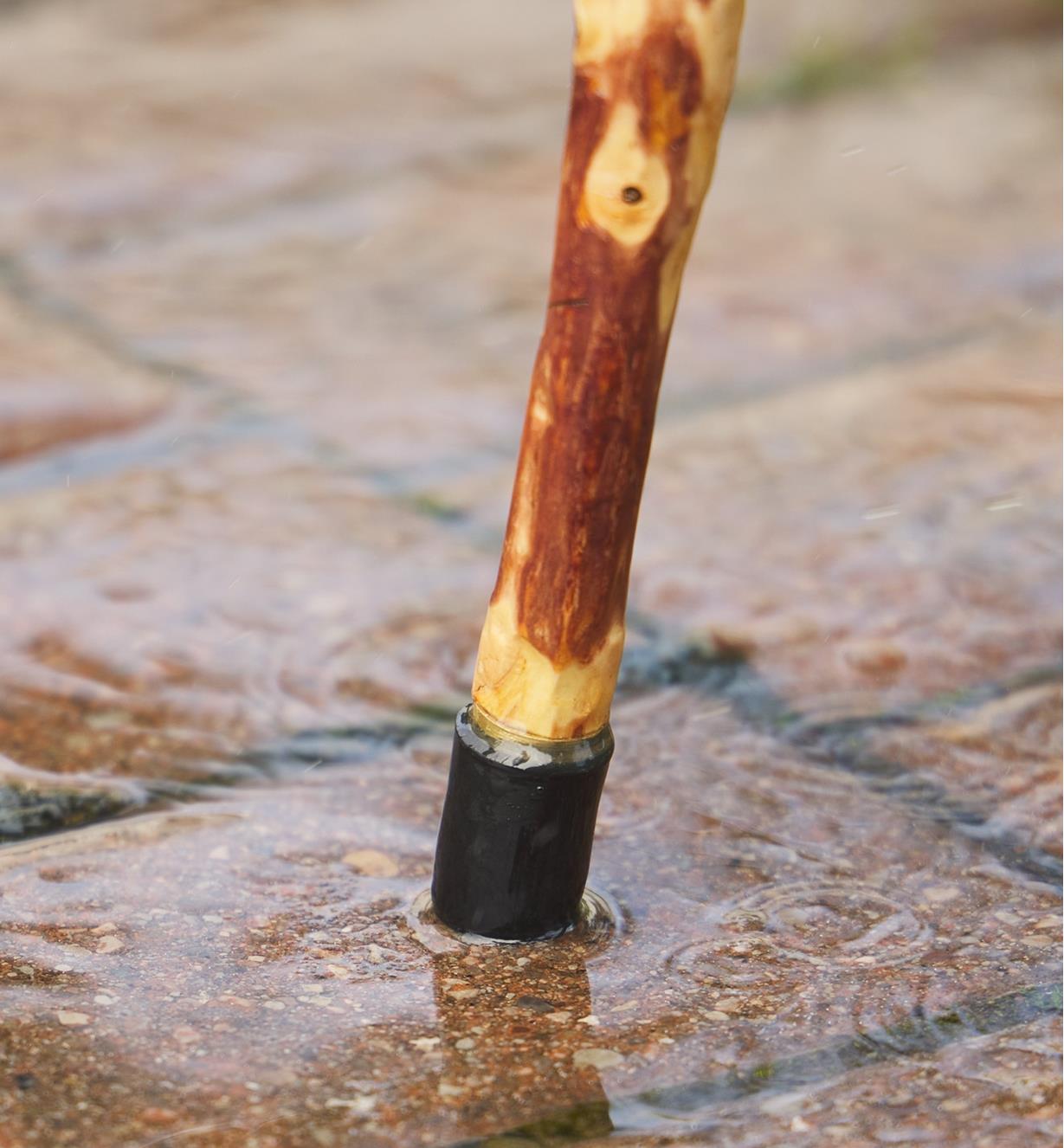 A walking stick with a rubber-capped tip on a wet stone walkway