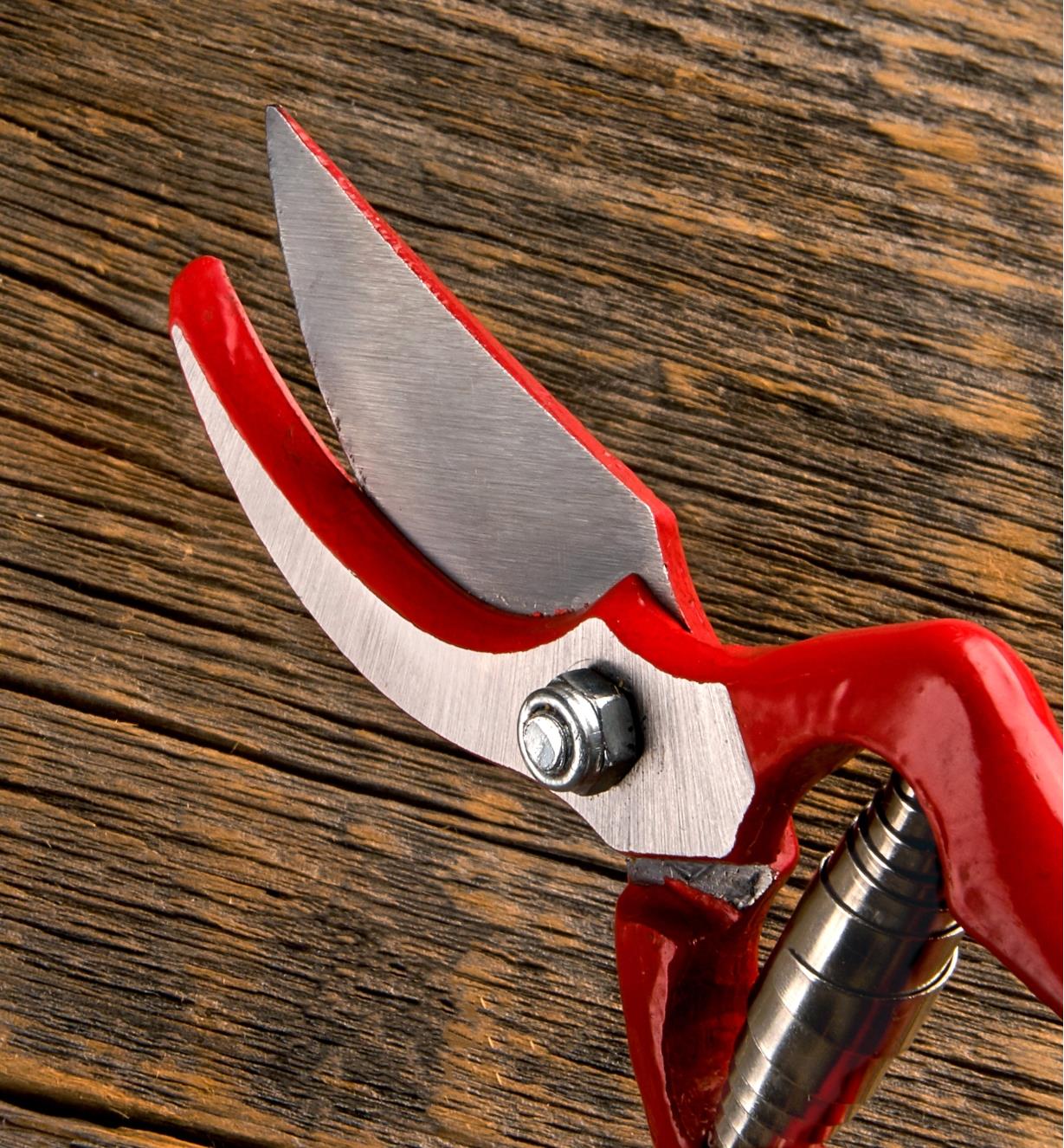 A close-up view of the bypass pruner blade