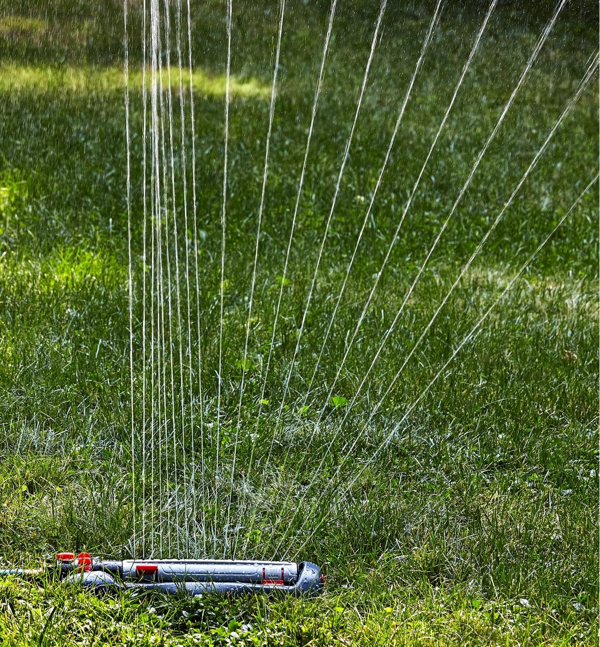 Arroseur oscillant à réglages multiples aspergeant de l'eau sur une pelouse par un jet mi-droit mi-éventail vers la droite
