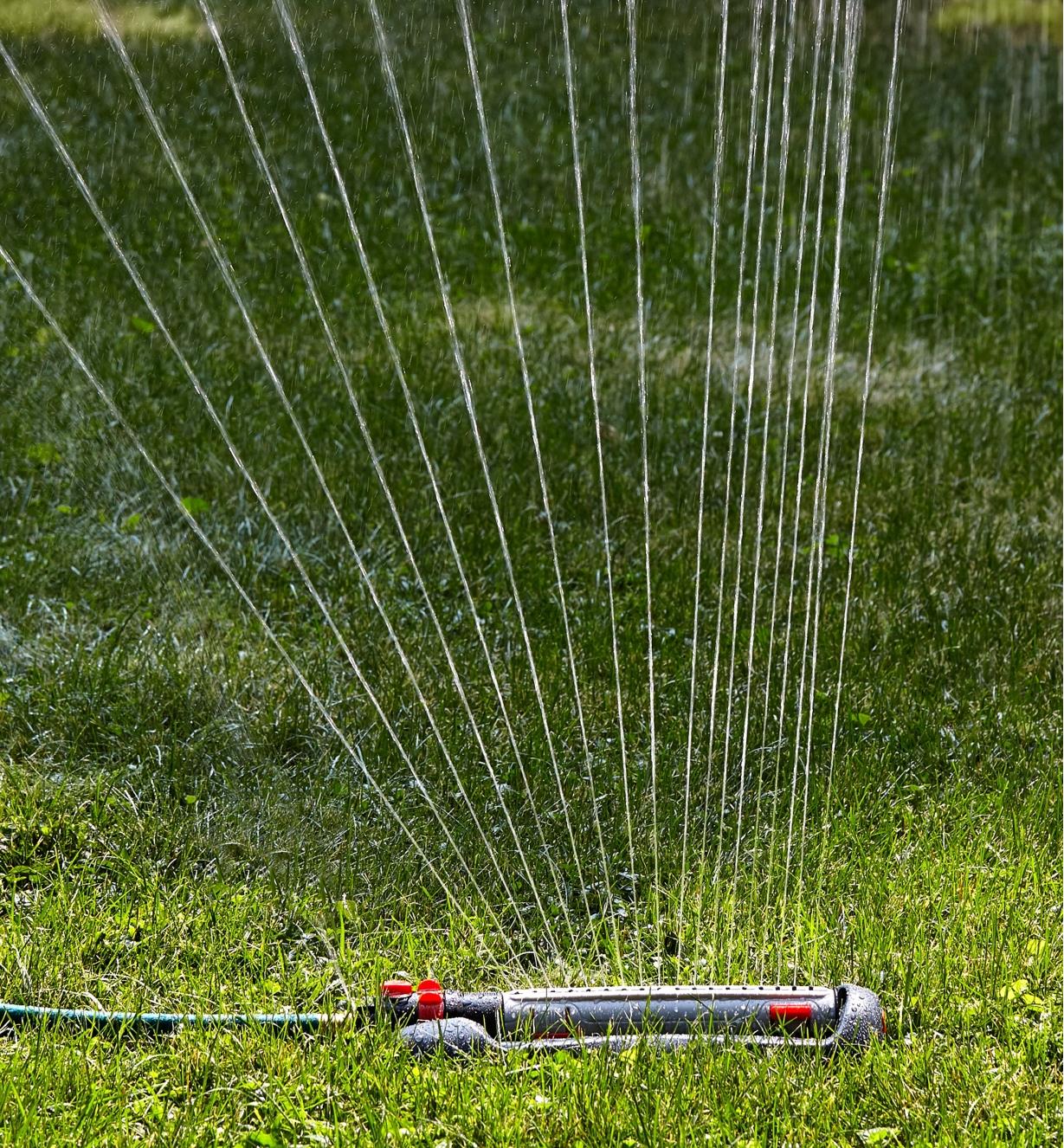 Arroseur oscillant à réglages multiples aspergeant de l'eau sur une pelouse par un jet mi-droit mi-éventail vers la gauche