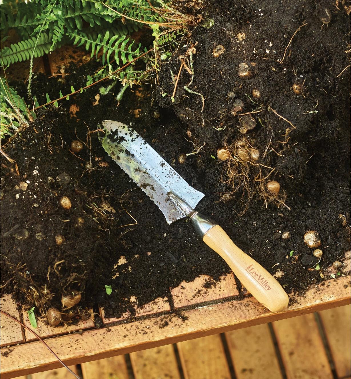 Lee Valley Garden Knife lies on earth