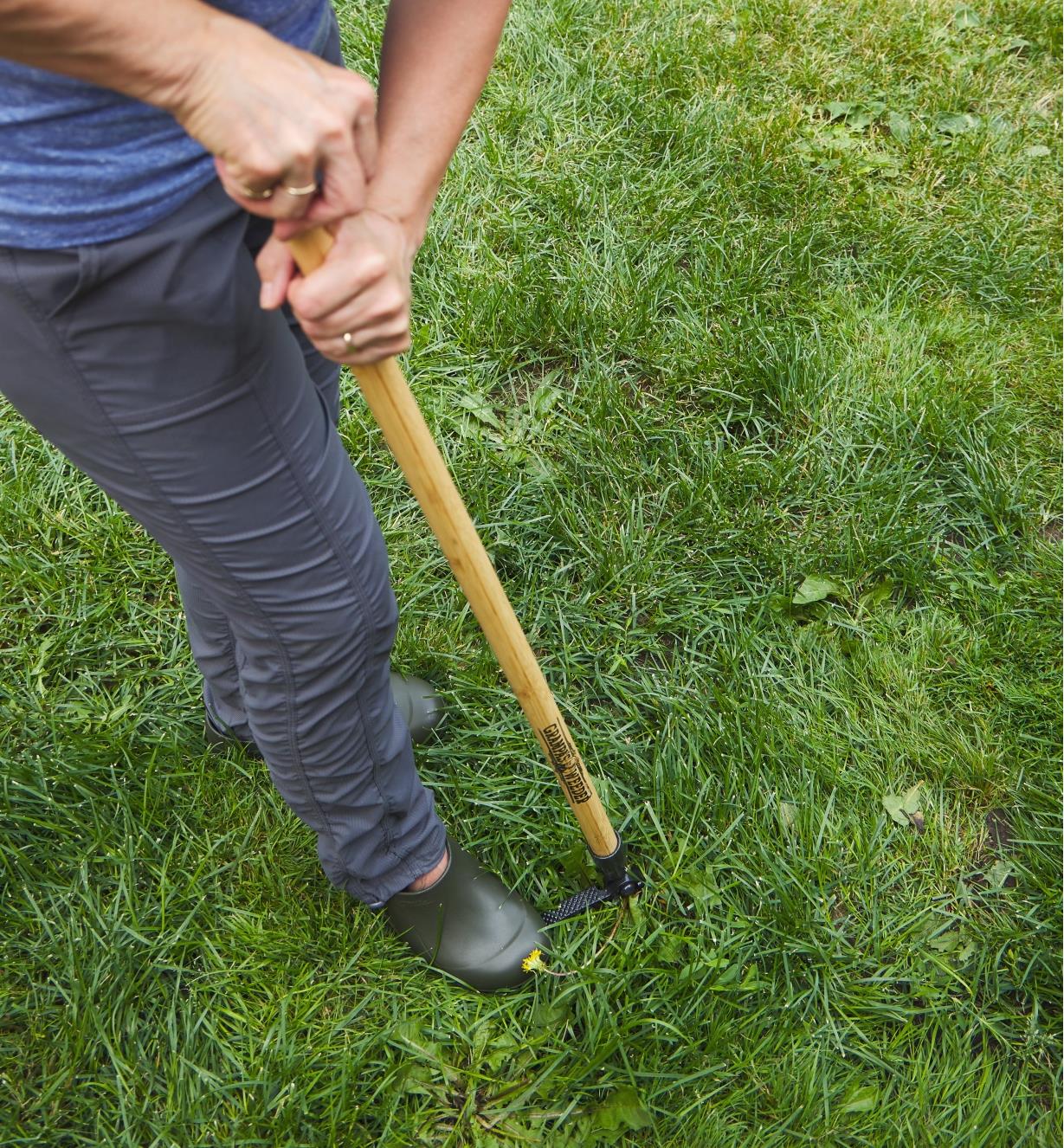 Personne enfonçant un arrache-mauvaise herbe Grampa's Weeder dans la terre à l’aide de son pied