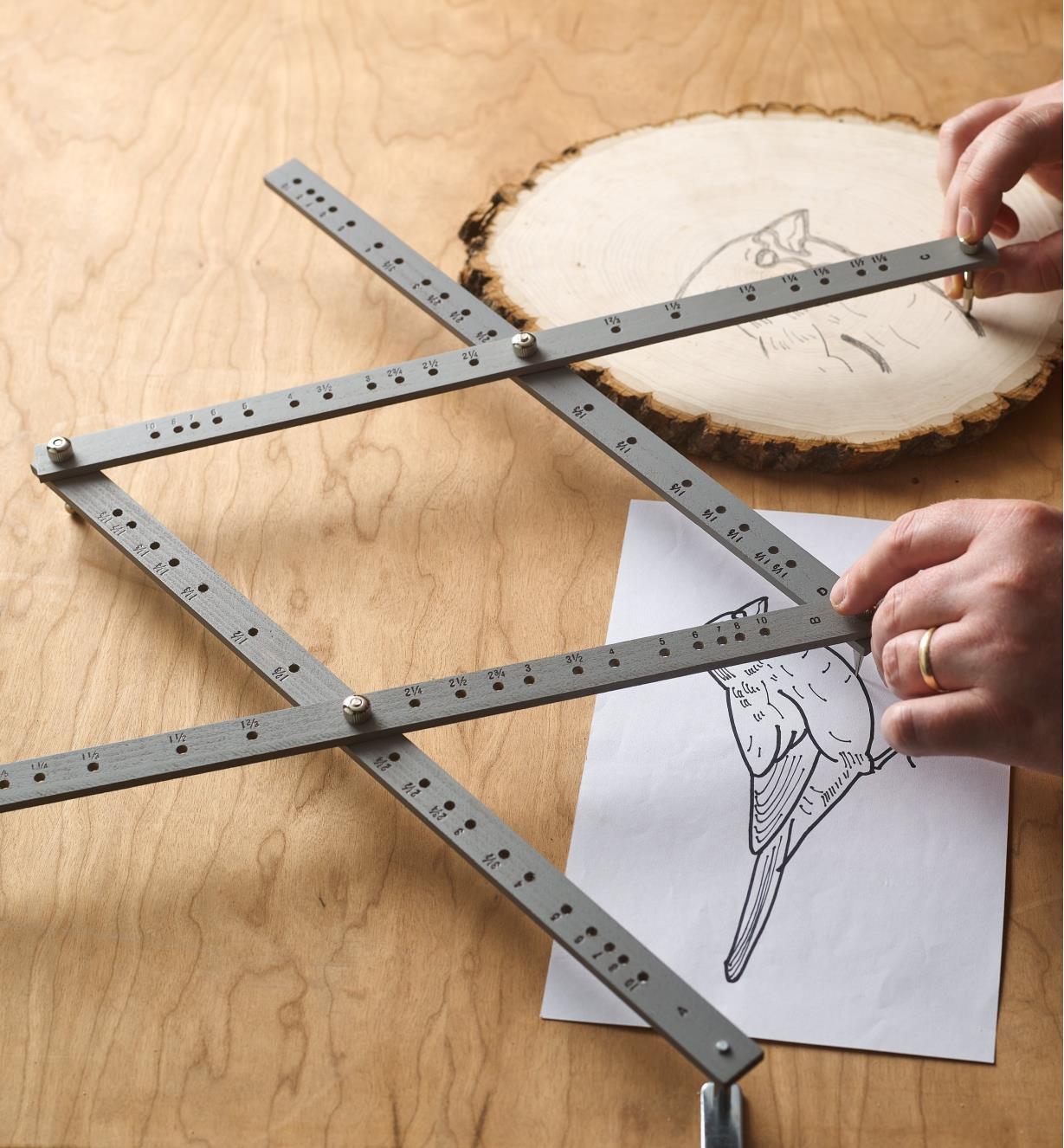 Using a pantograph to transfer a drawing of a bird from paper to a piece of wood