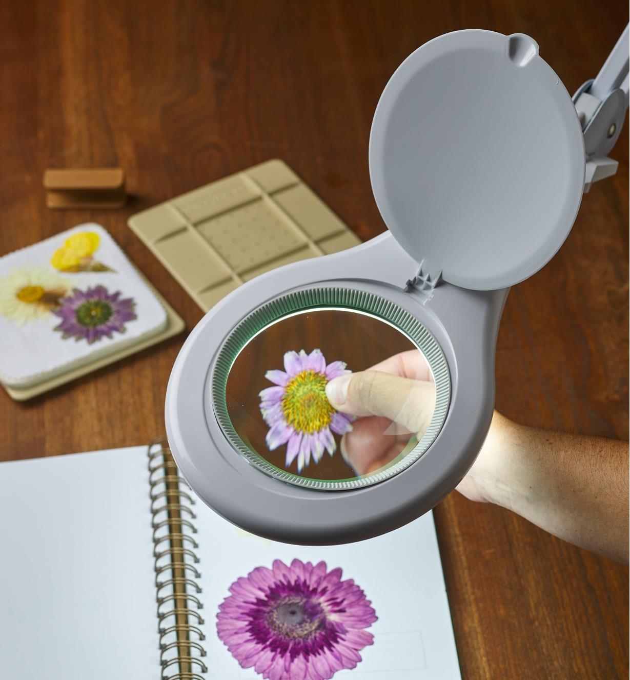 A flower being held under the LED Magnifying Bench Lamp, with art supplies on a table.
