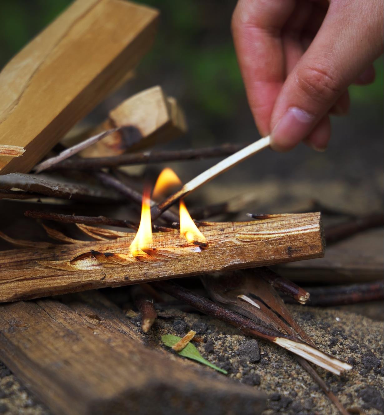 A Fatwood stick used to start a campfire