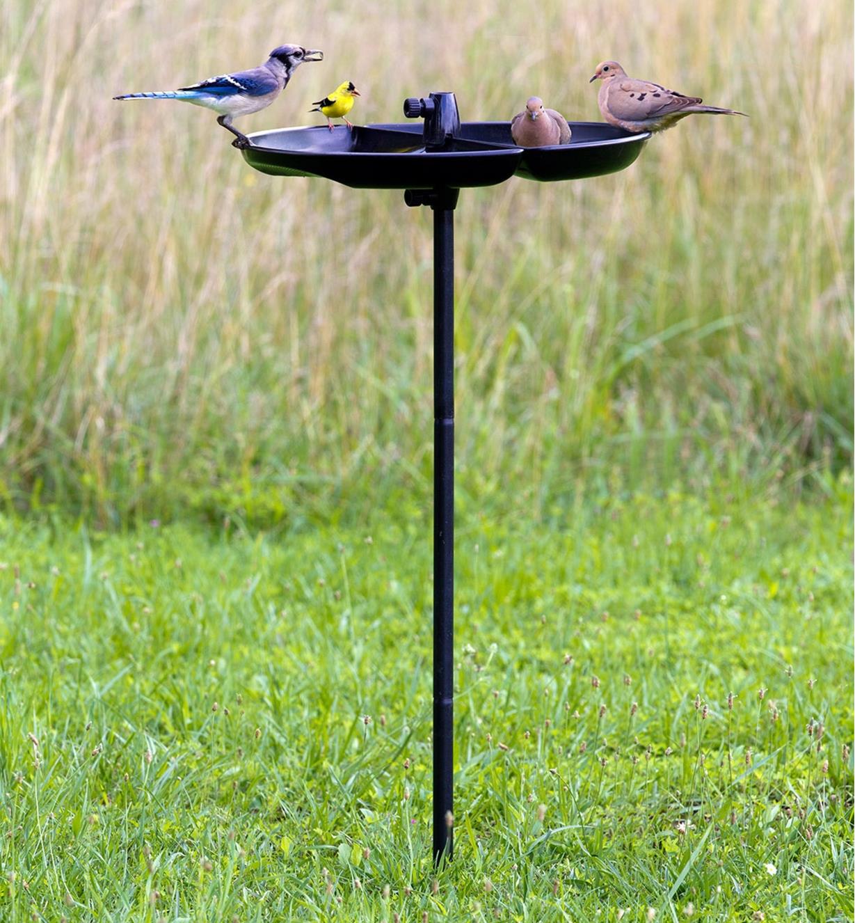 A seed catcher/tray feeder mounted on a pole with four birds perching on it.