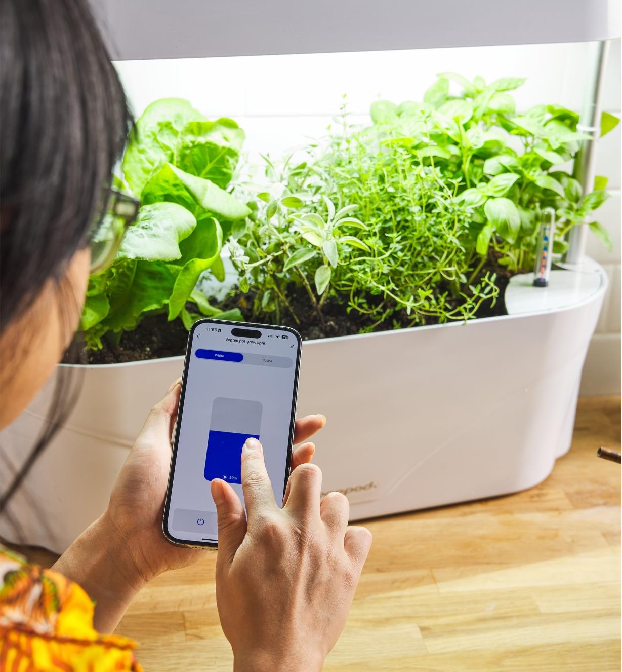 A person adjusts the light cycle of the LED grow light and planter through an app on a phone