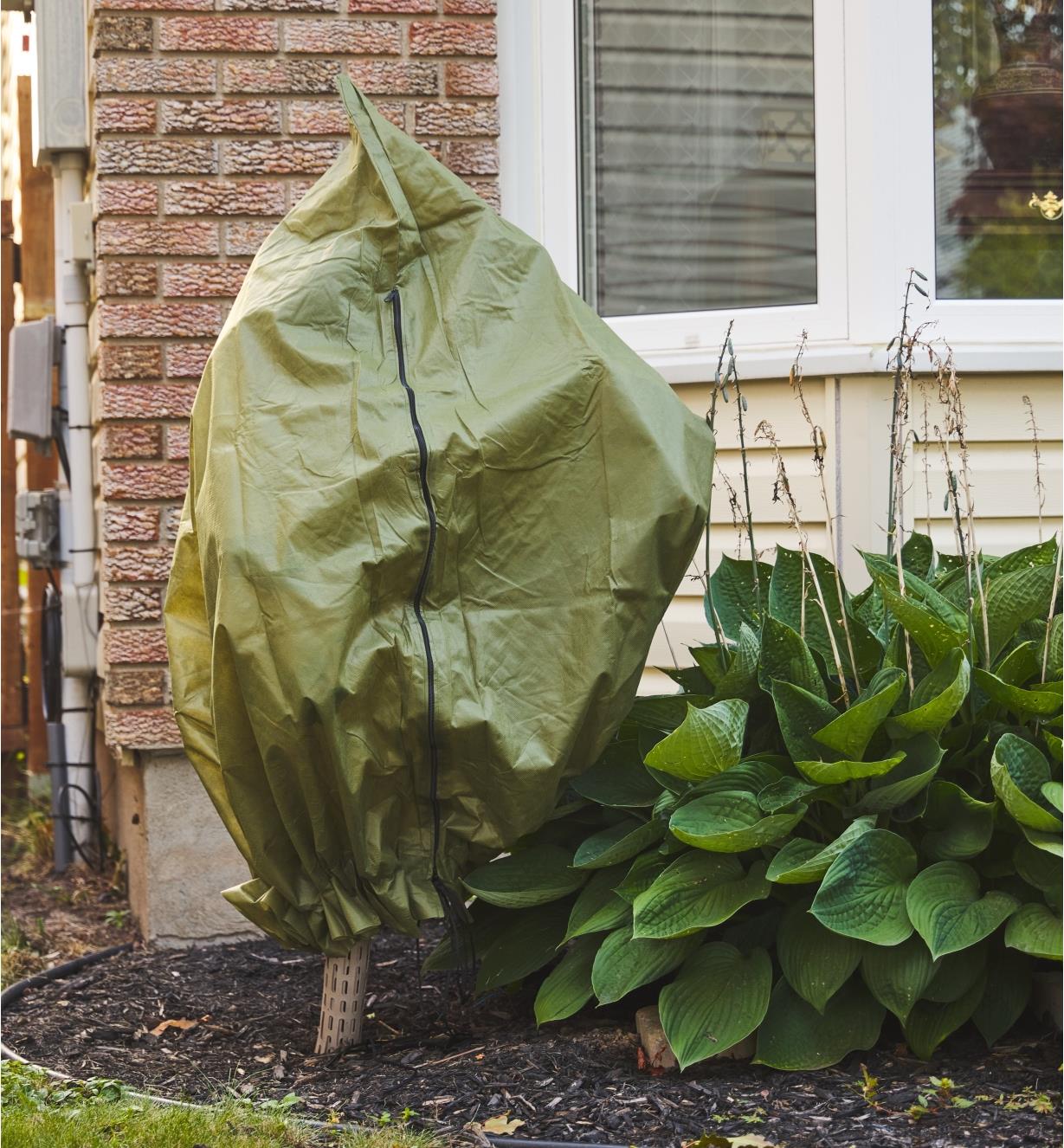 The Shrub & Potted Plant Protector covering a shrub in a garden