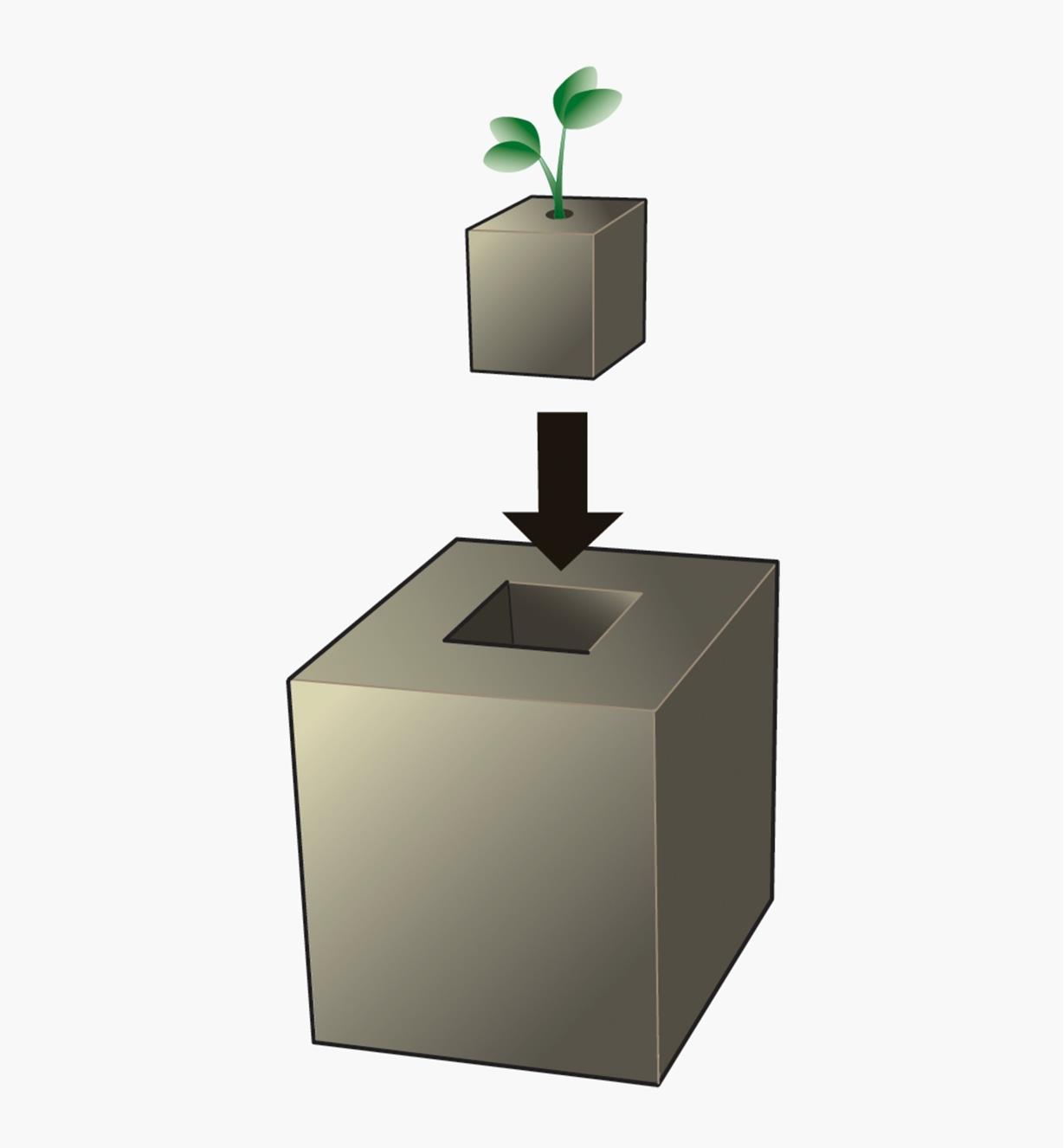 An illustration showing how to insert a small soil cube into a large soil block