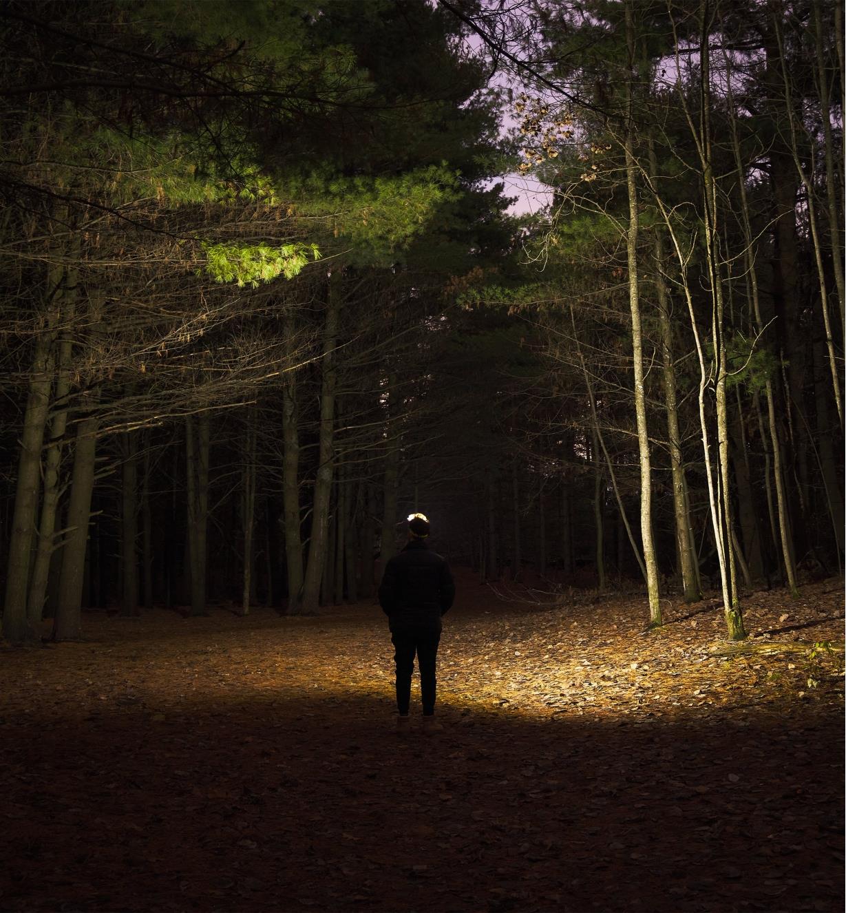 A person uses the COB headlamp’s LED strip to help see the trail while walking in woods at night