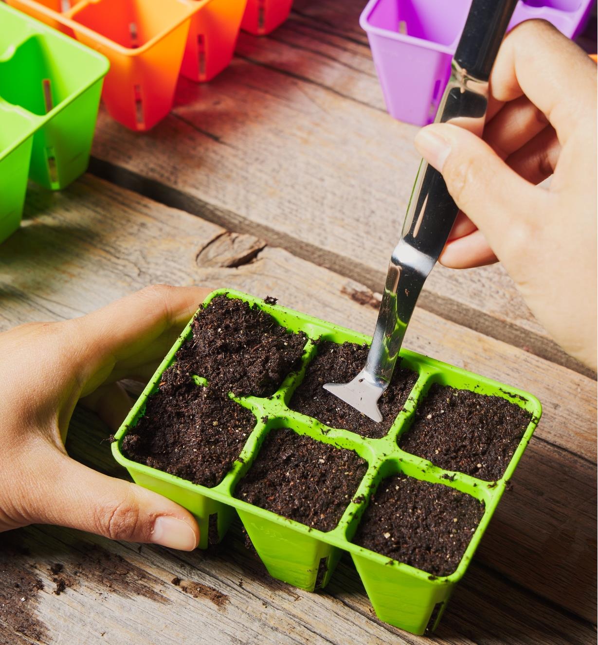Tamping down soil in a six-cell seed starter