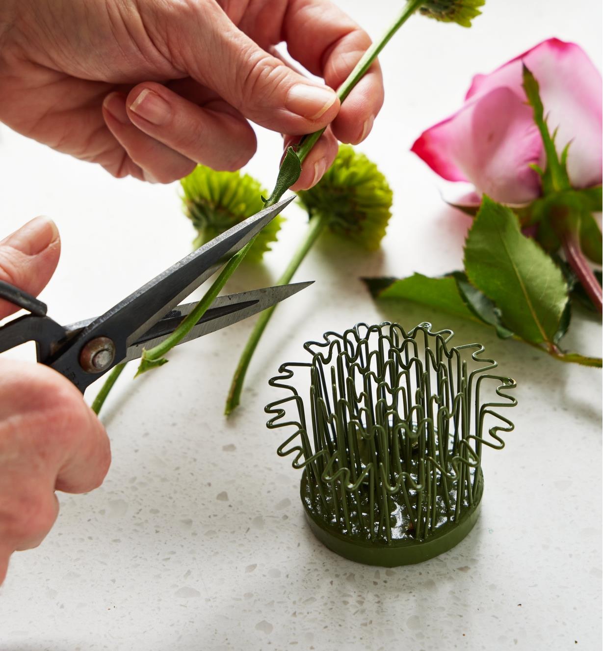 The Blue Ribbon flower holder sits on a table while someone trims the stem on a flower