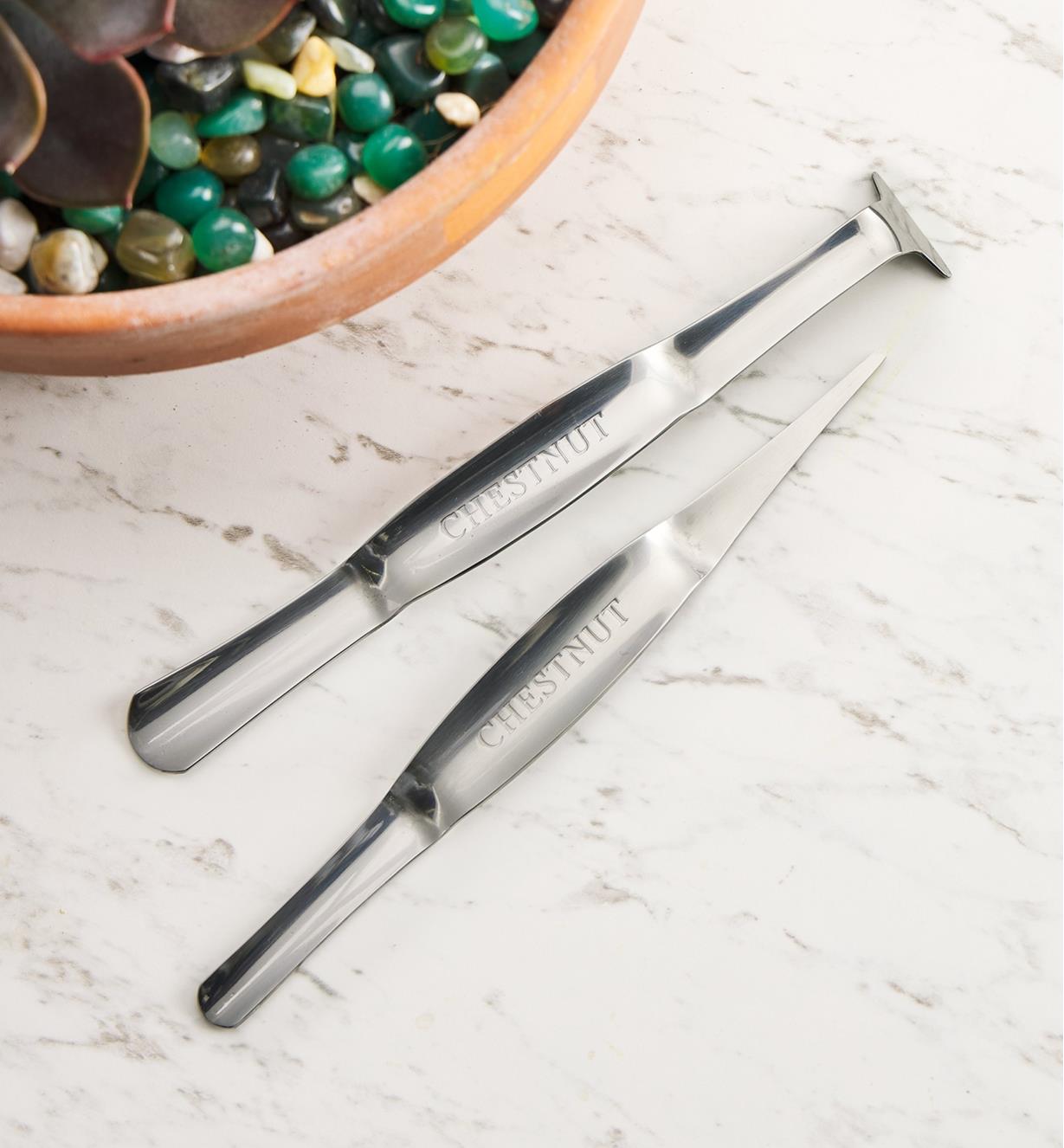 Two stainless-steel potting tools placed on a countertop beside a potted houseplant