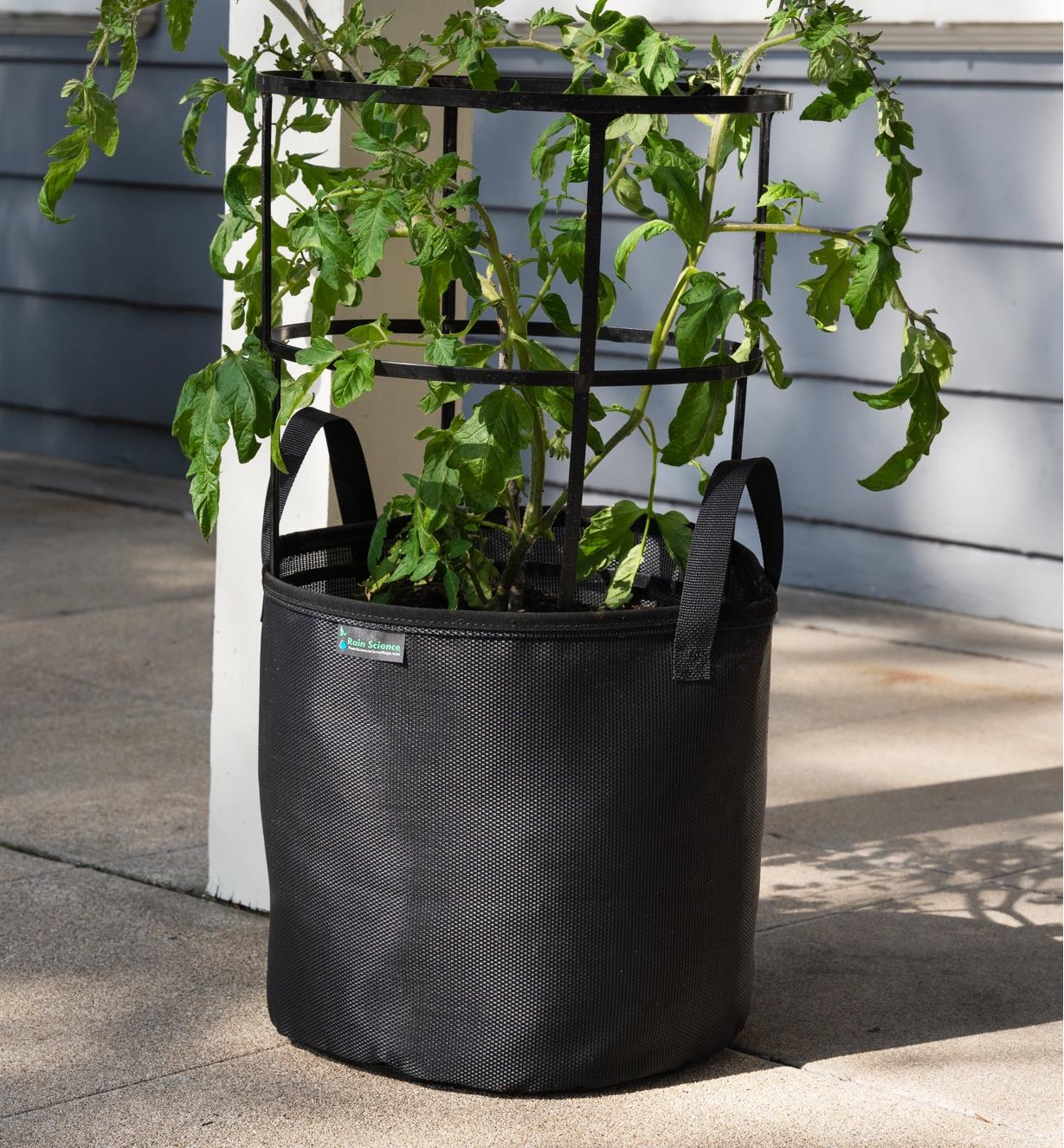 The 7 gallon mesh fabric pot with tomato plants growing in it sits on a porch