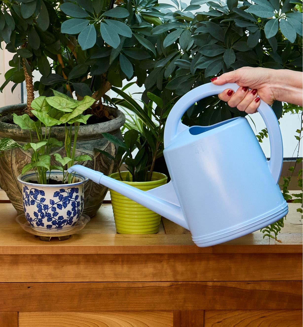 A woman watering a small potted plant using a 4 litre watering can