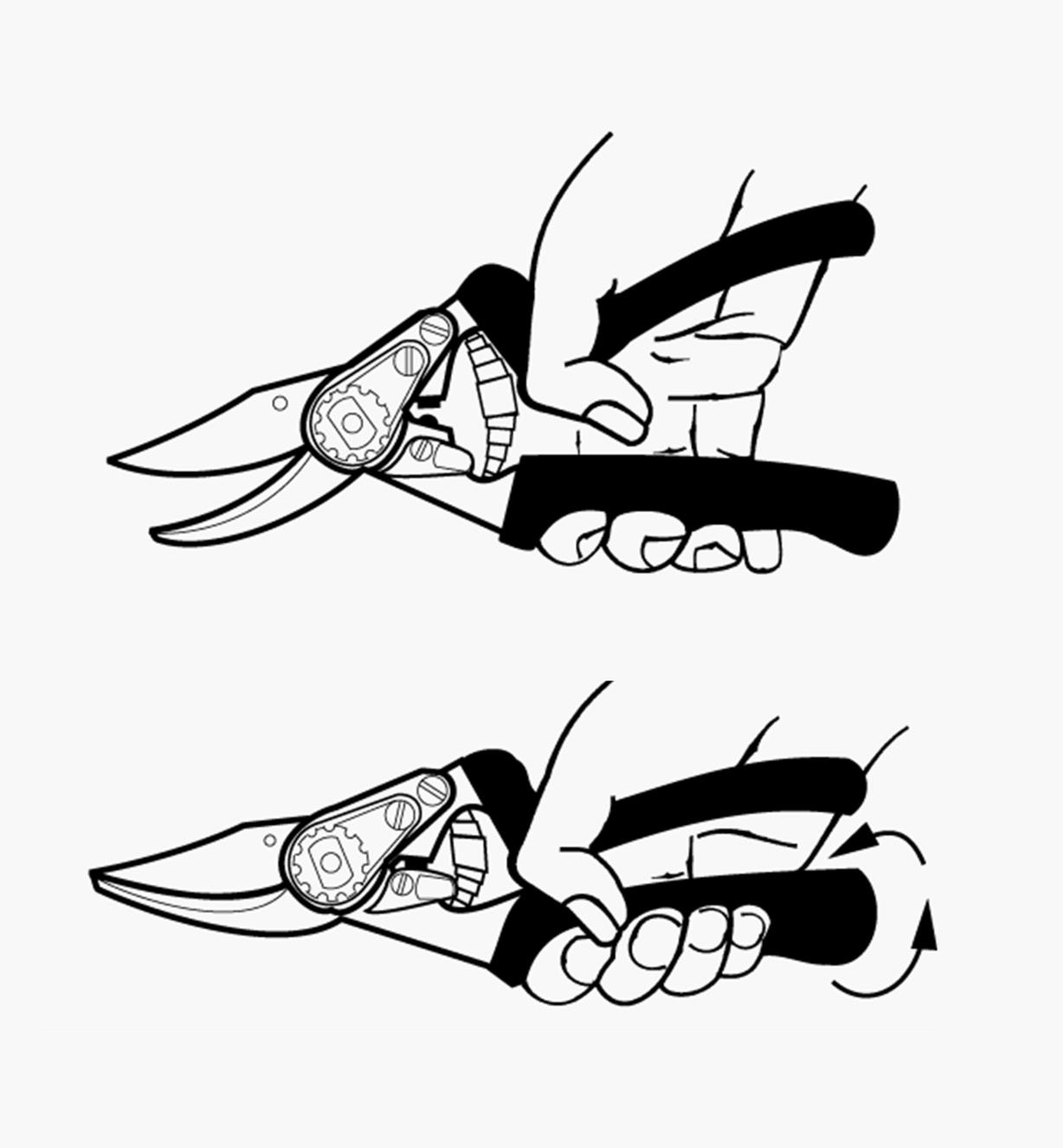 A diagram shows how the handle on the Felco #15 pruner rotates
