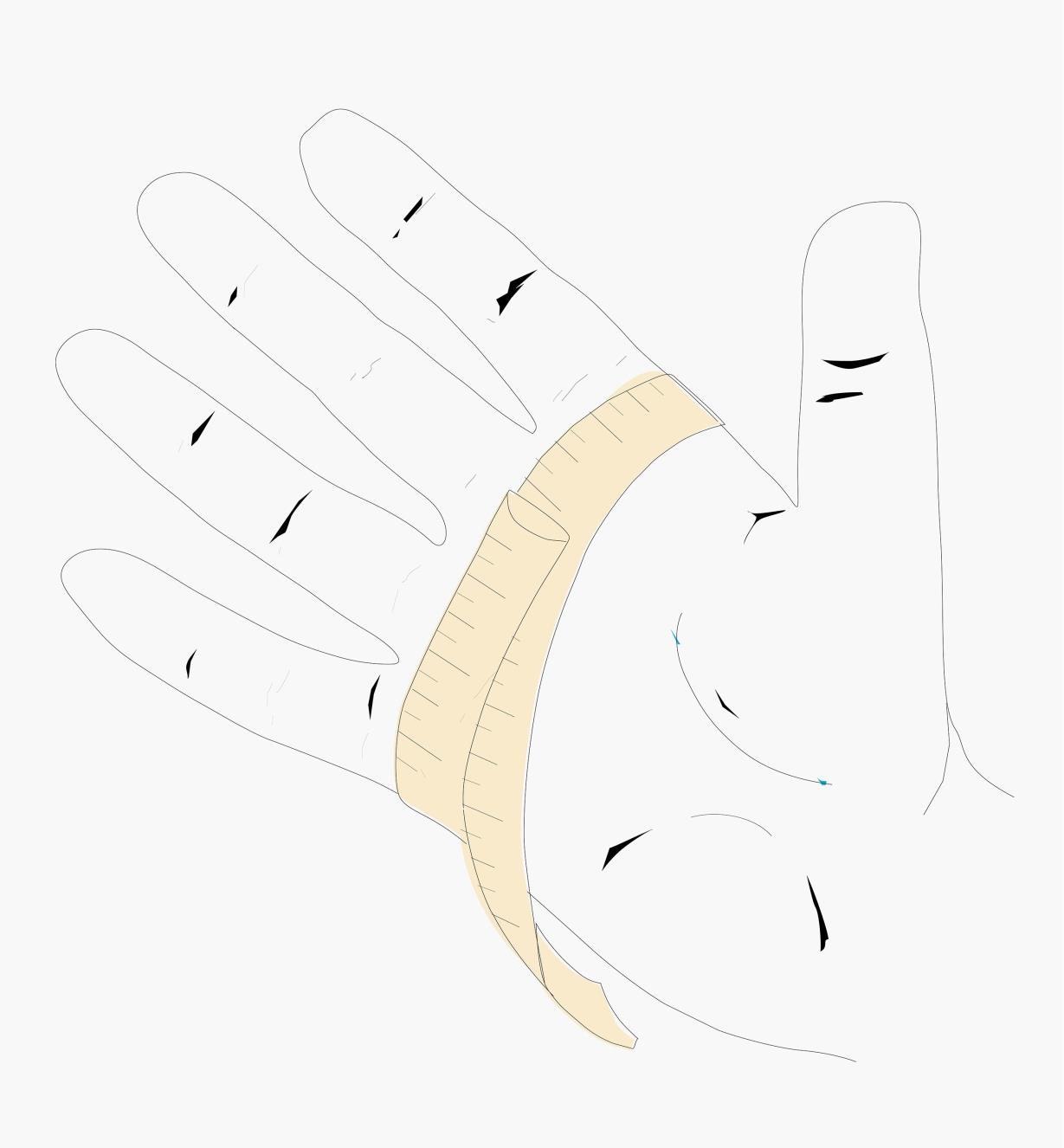 Measuring a hand to determine glove sizing
