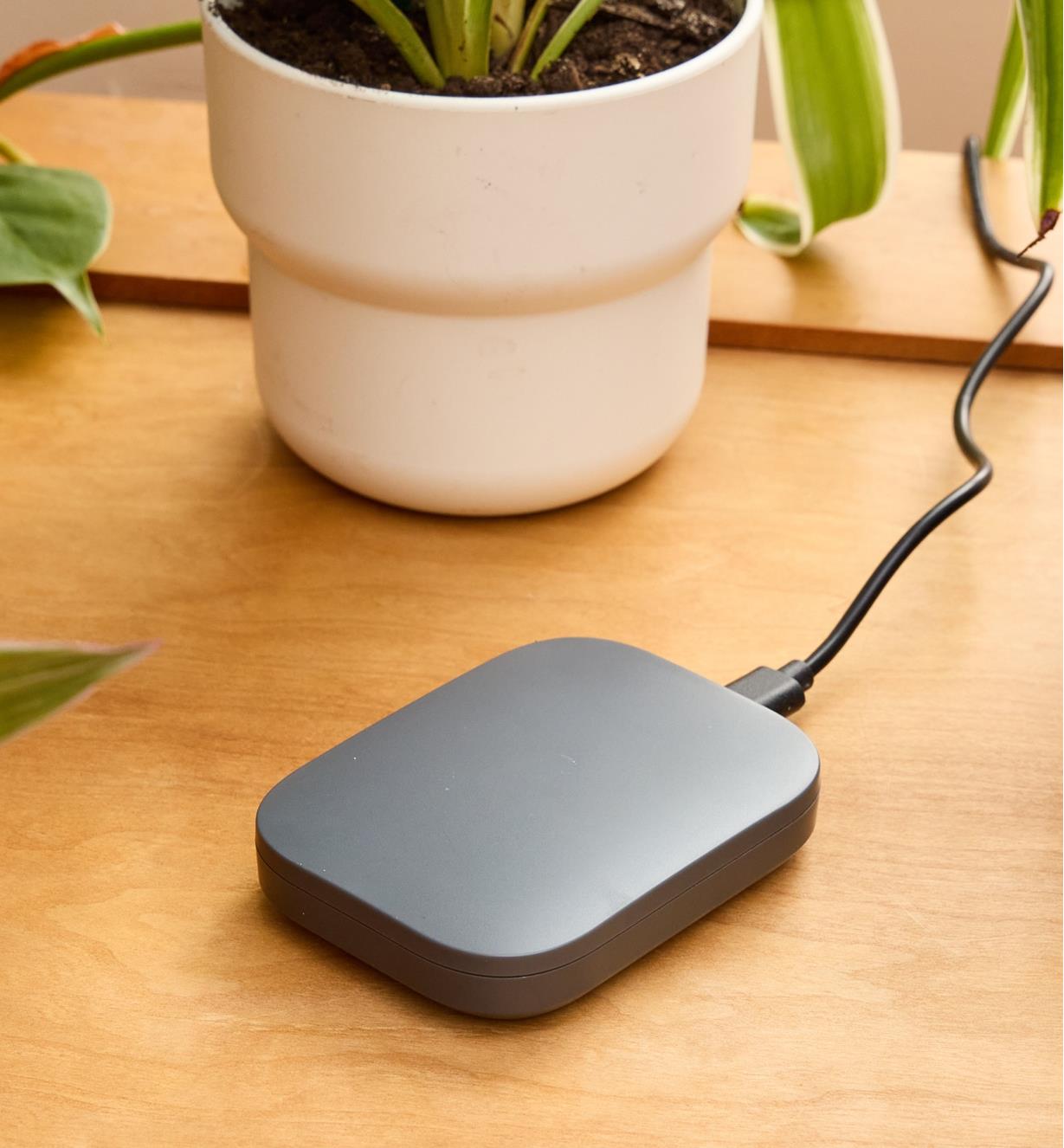 Borne Wi-Fi sur une table en bois à côté d'une plante en pot