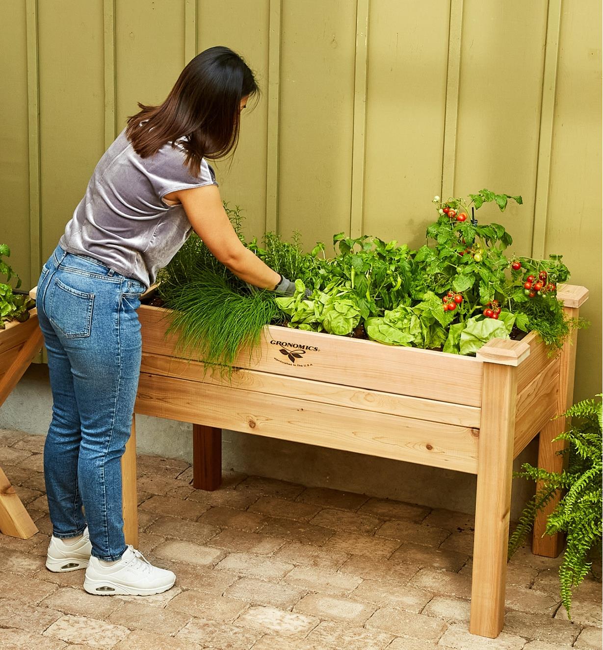 A gardener tends to vegetables growing in the elevated planter