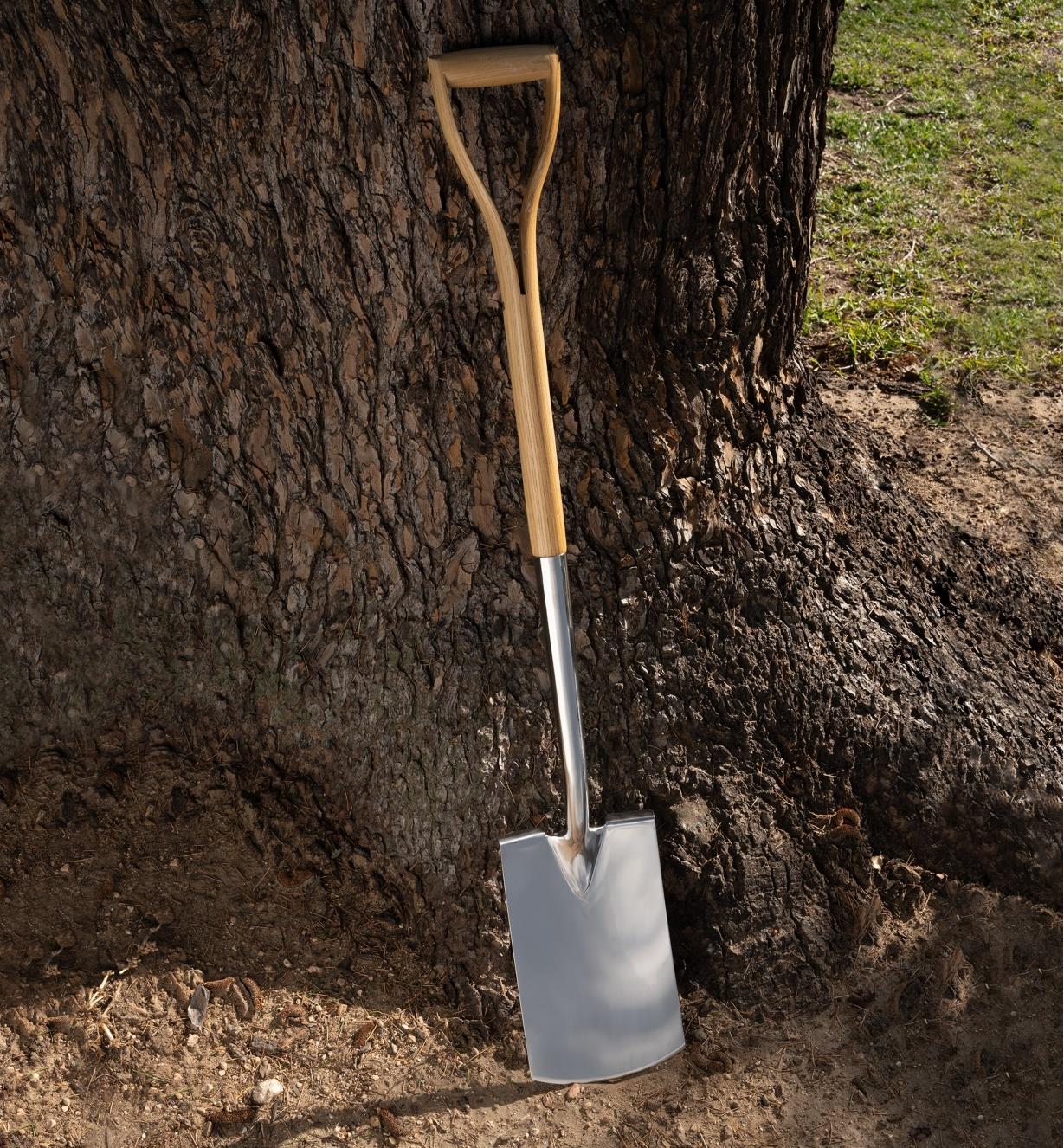 The digging spade leaning up against a tree
