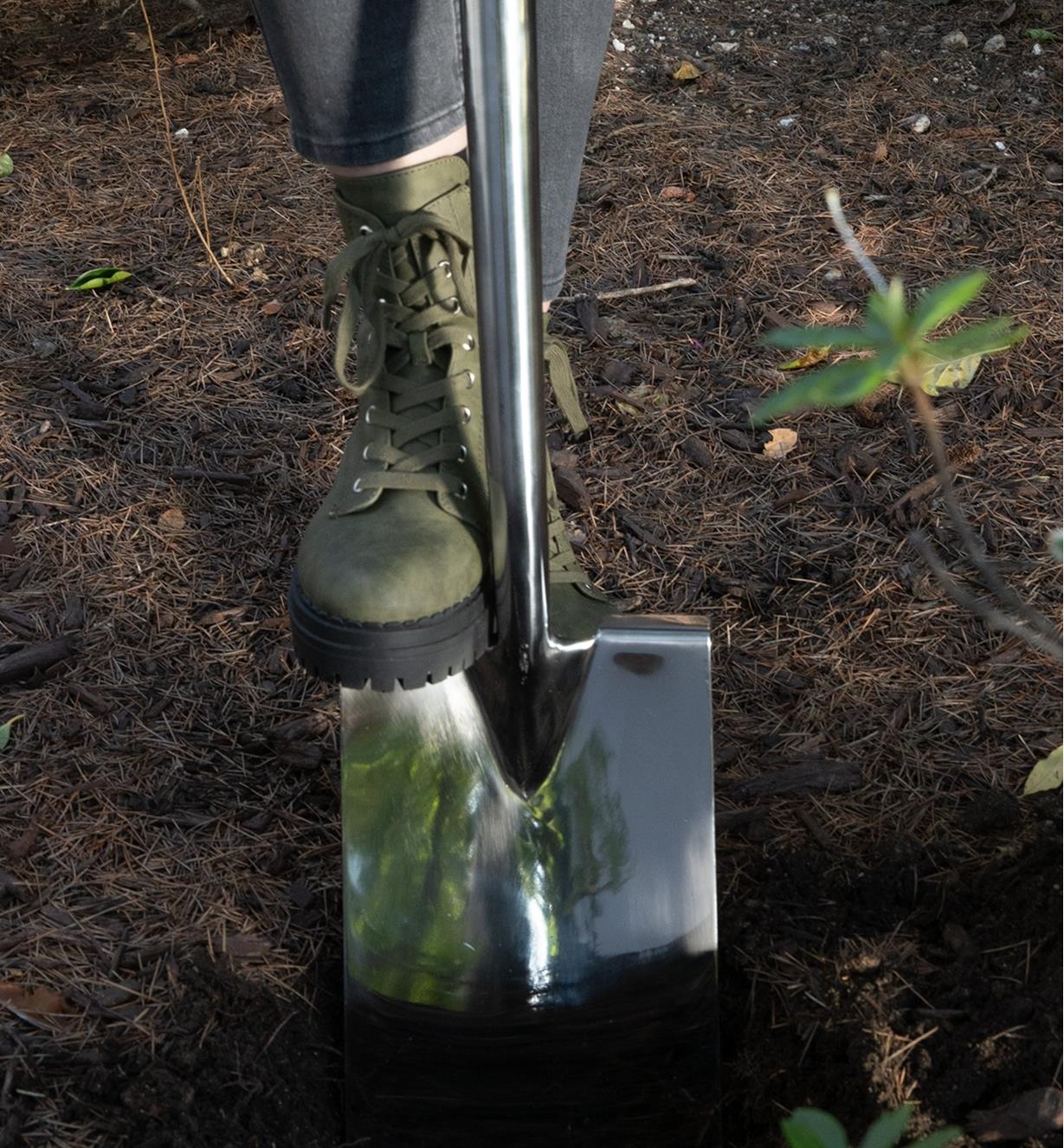 PA gardener uses the foot tread to push the digging spade into the ground
