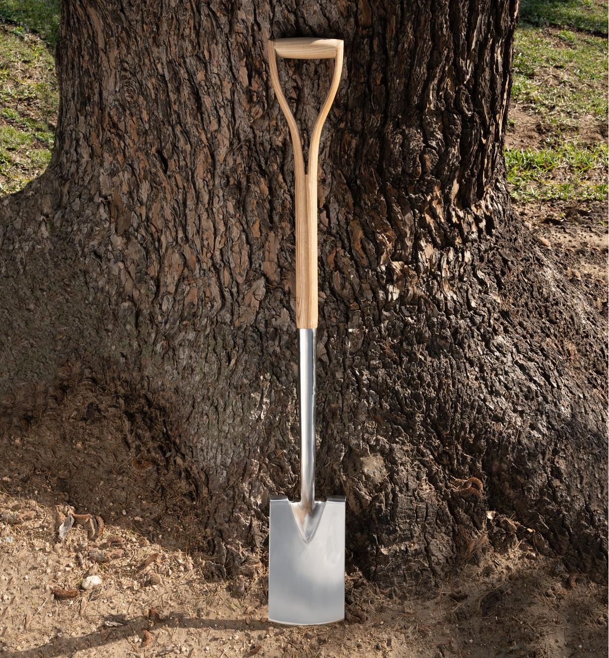 The border spade leaning up against a tree