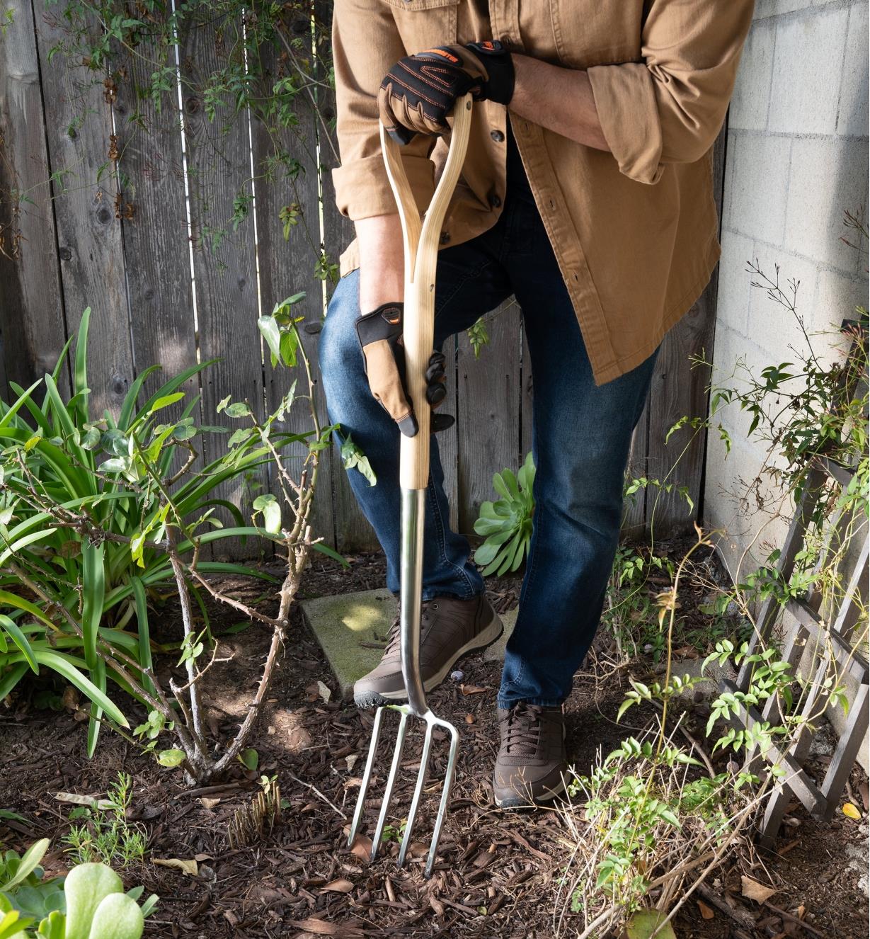 A gardener pushes the border fork into the ground