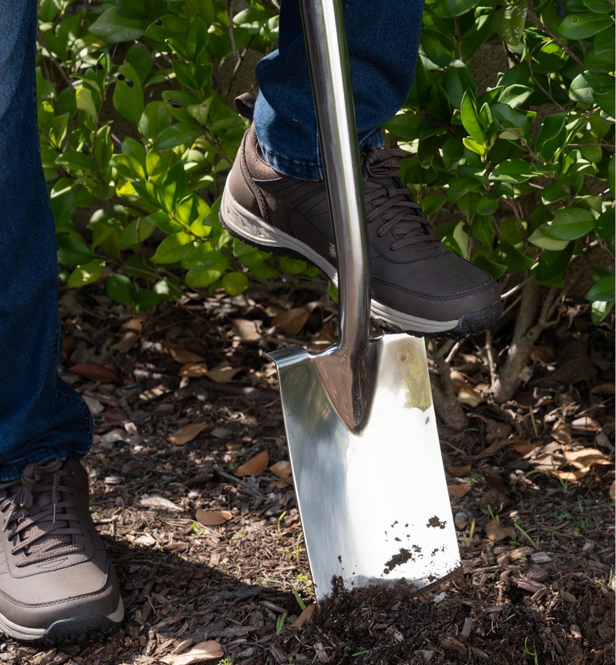 A gardener uses their foot to push the head of the border spade into the ground