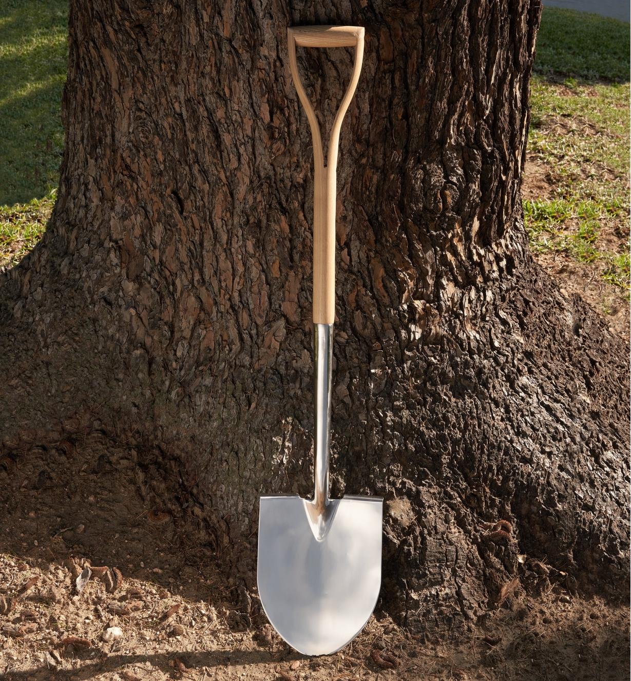 The stainless-steel shovel resting against a tree