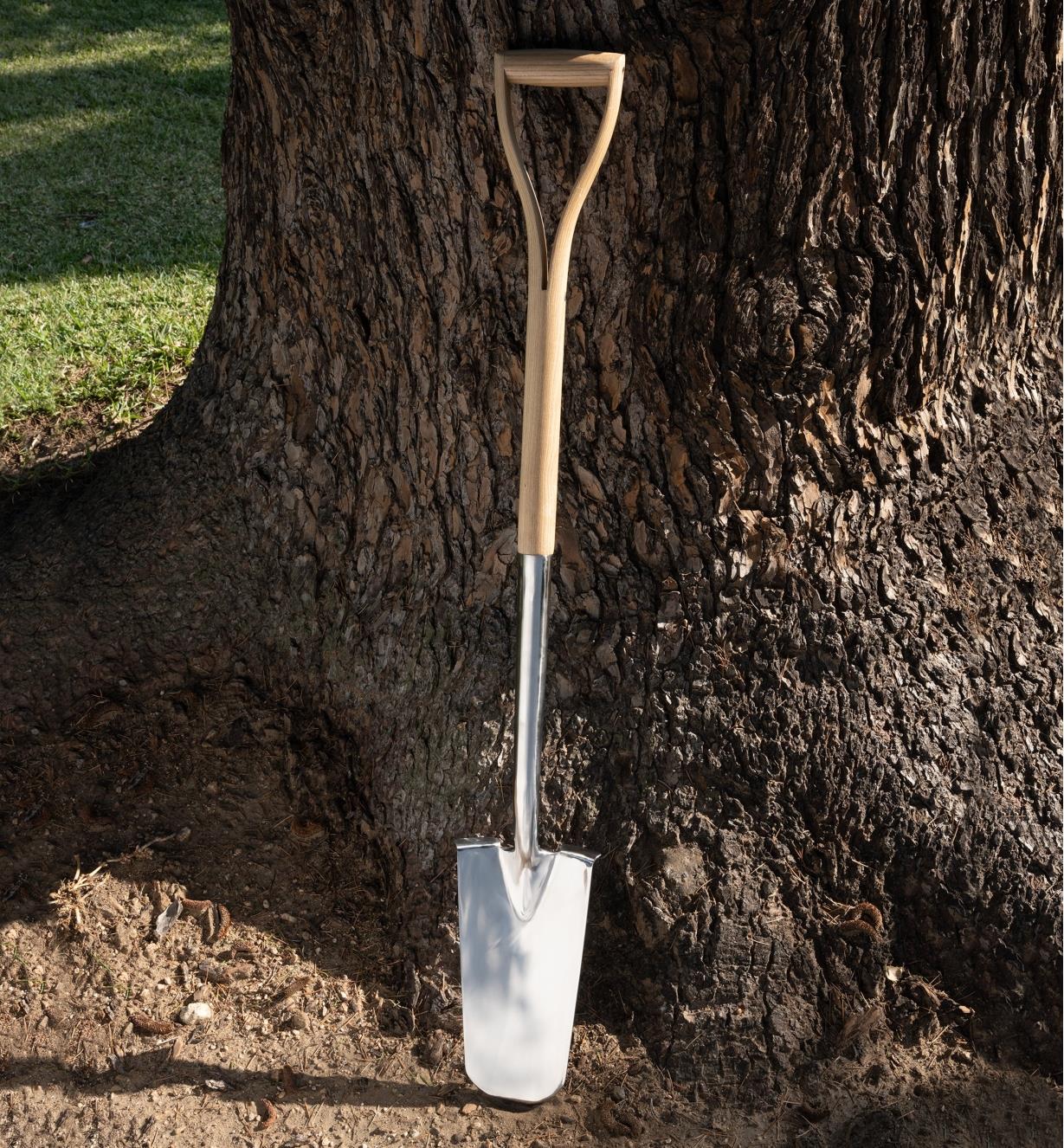 The transplant spade leans up against a tree