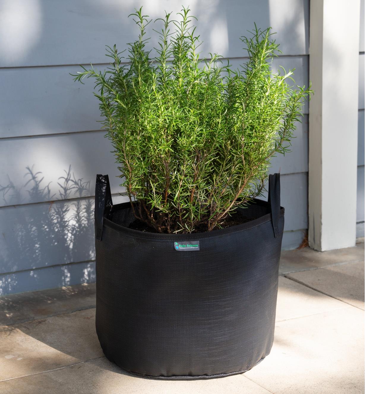 A 10 gallon mesh fabric pot with plants growing in it