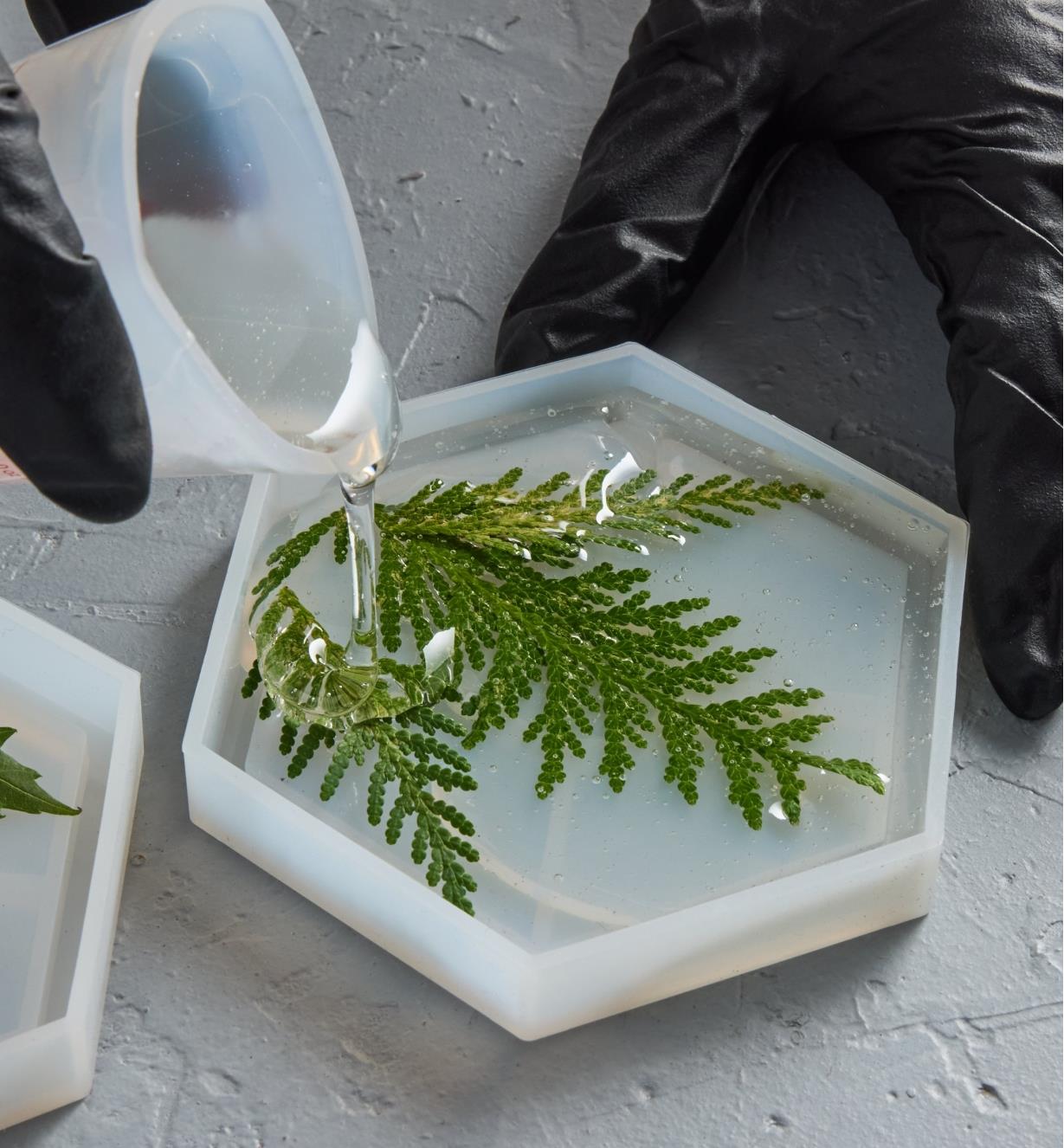 Pouring mixed epoxy into a silicone coaster mold containing cedar foliage